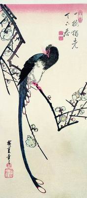 Китайская сорока на ветке цветущей вишни. 1830—1844