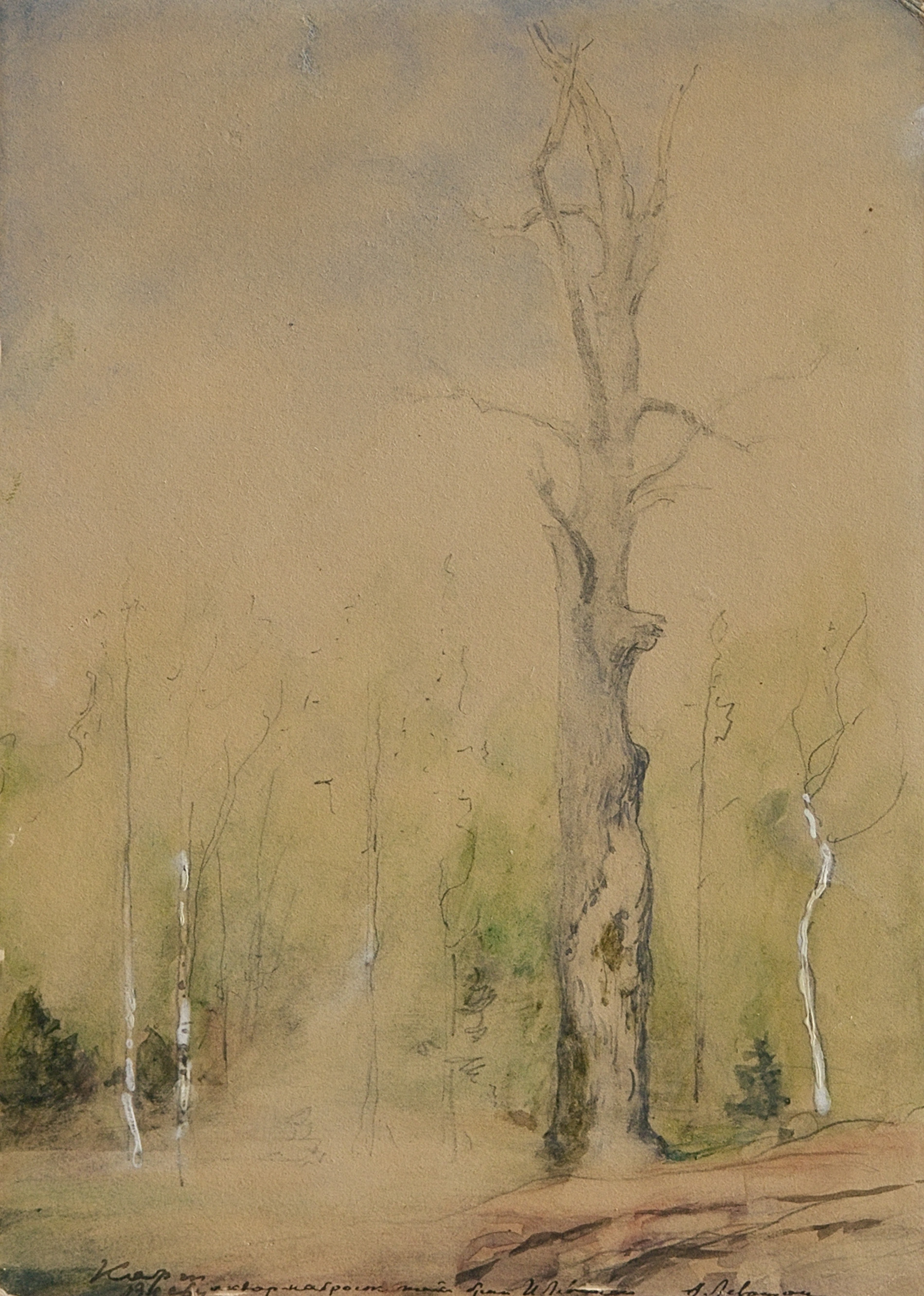 Левитан И.. Ранняя весна. Дерево. 1883-1884