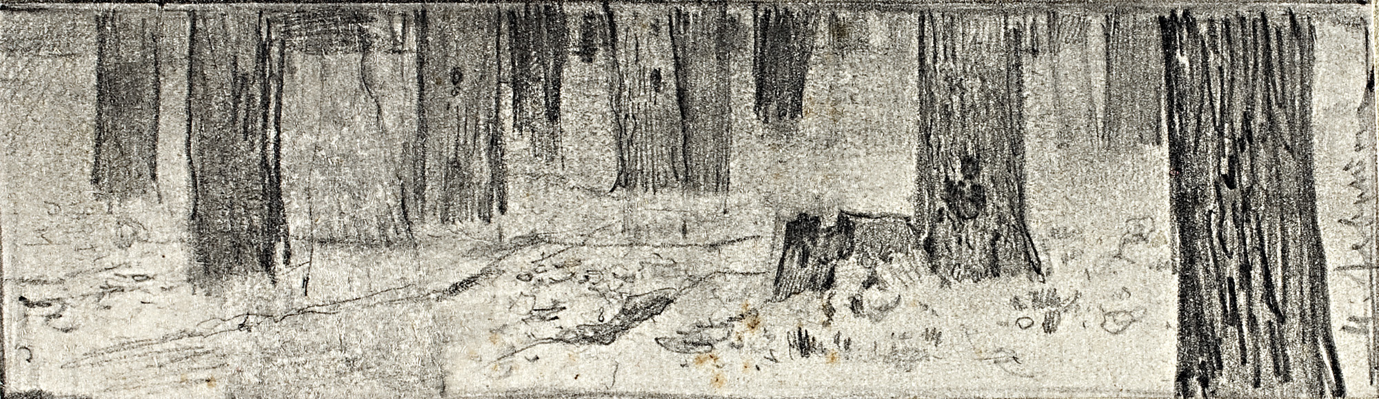 Левитан И.. У подножия деревьев в бору. Первая половина 1880-х