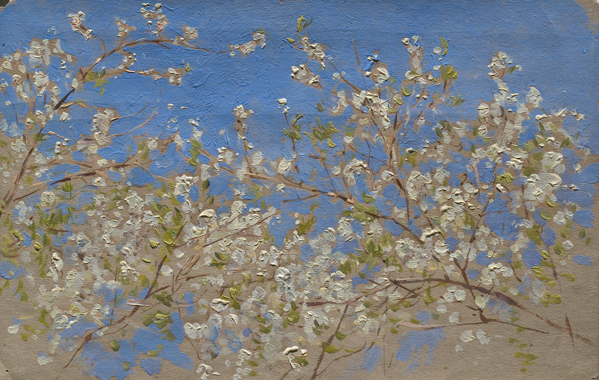 Левитан И.. Ветка цветущей яблони. Середина 1890-х
