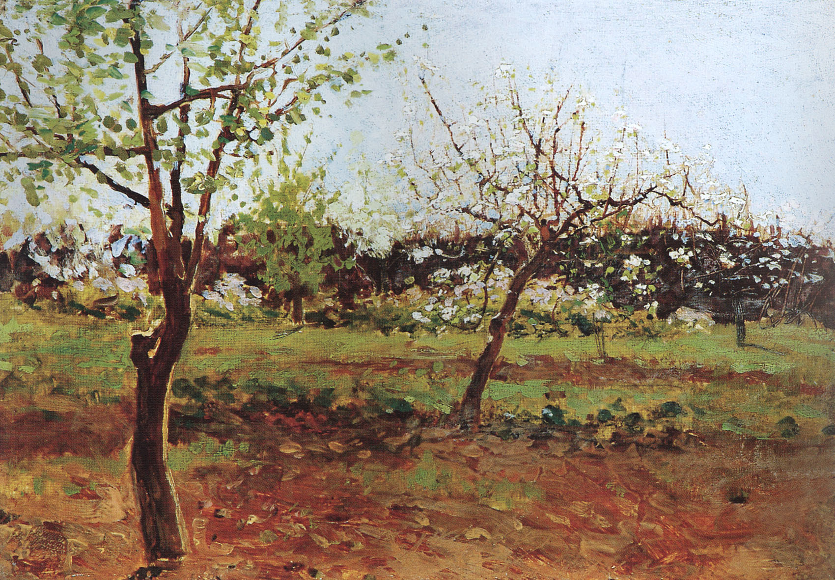 Левитан И.. Цветущие яблони. 1896