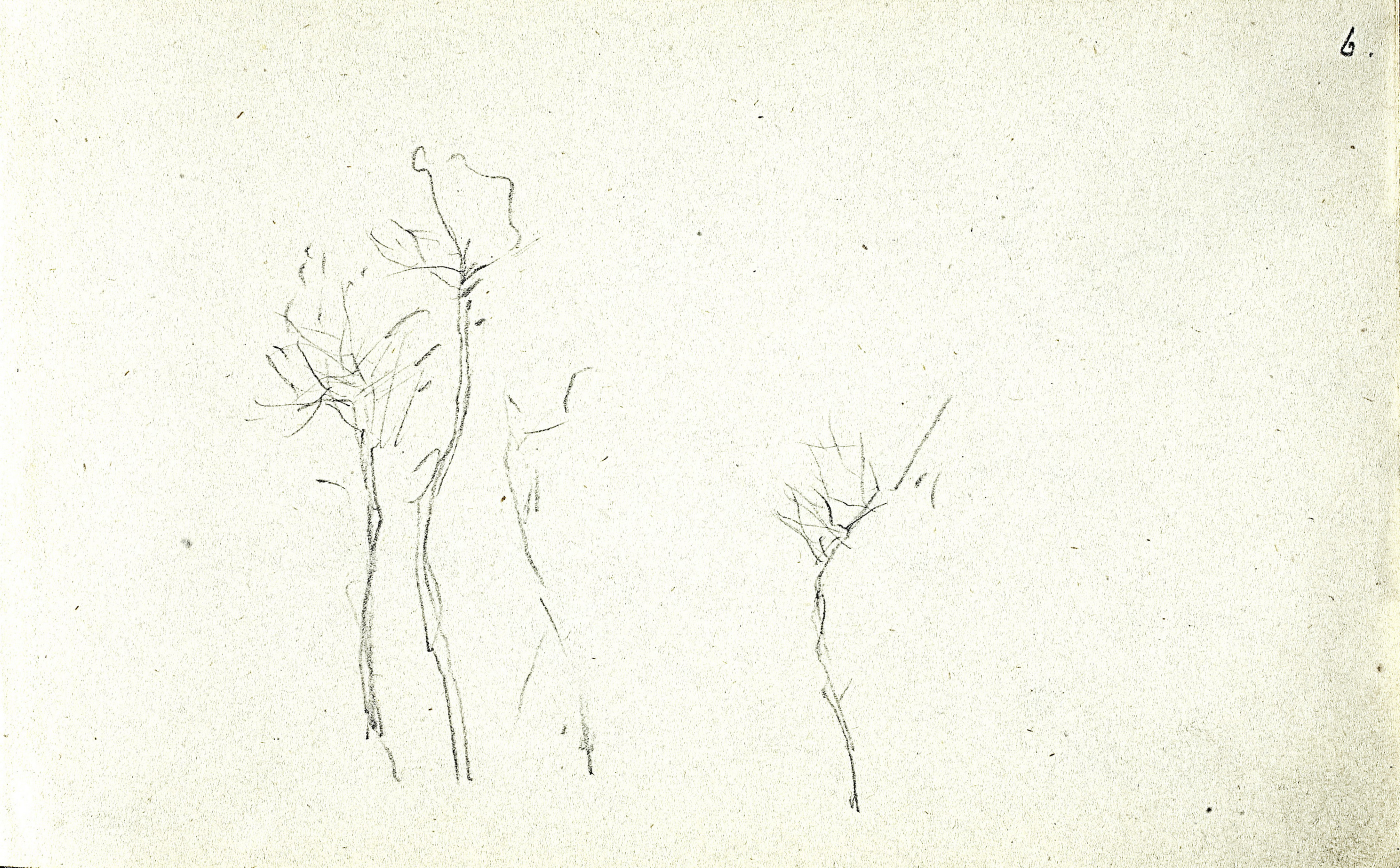 Левитан И.. Деревья. 1890