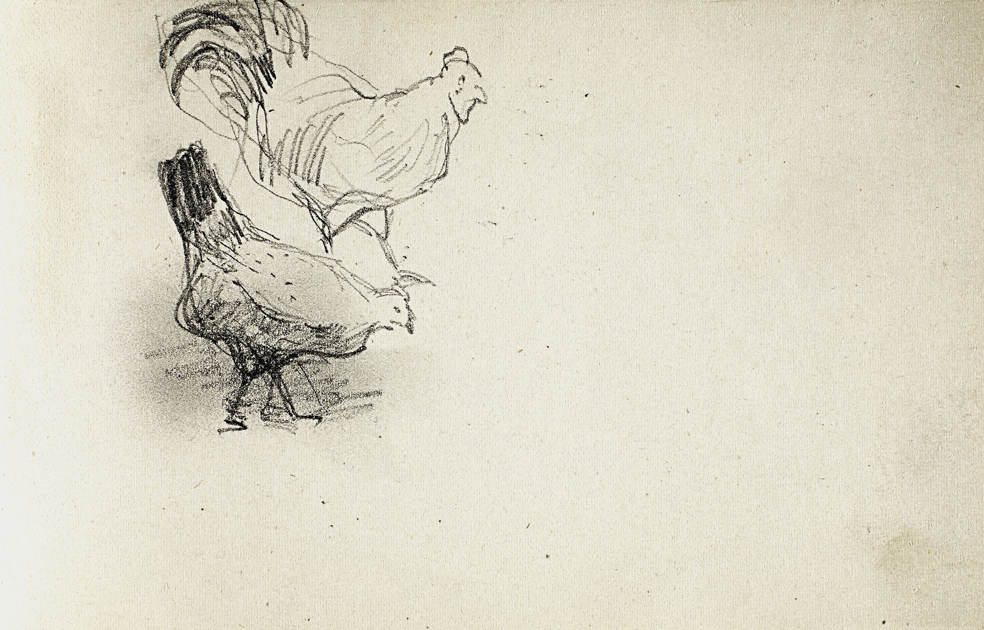 Левитан И.. Петух и курица. 1890