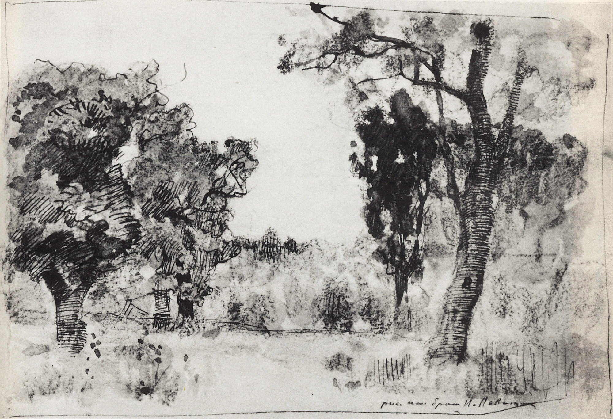 Левитан И.. Деревья на опушке леса. 1890-е
