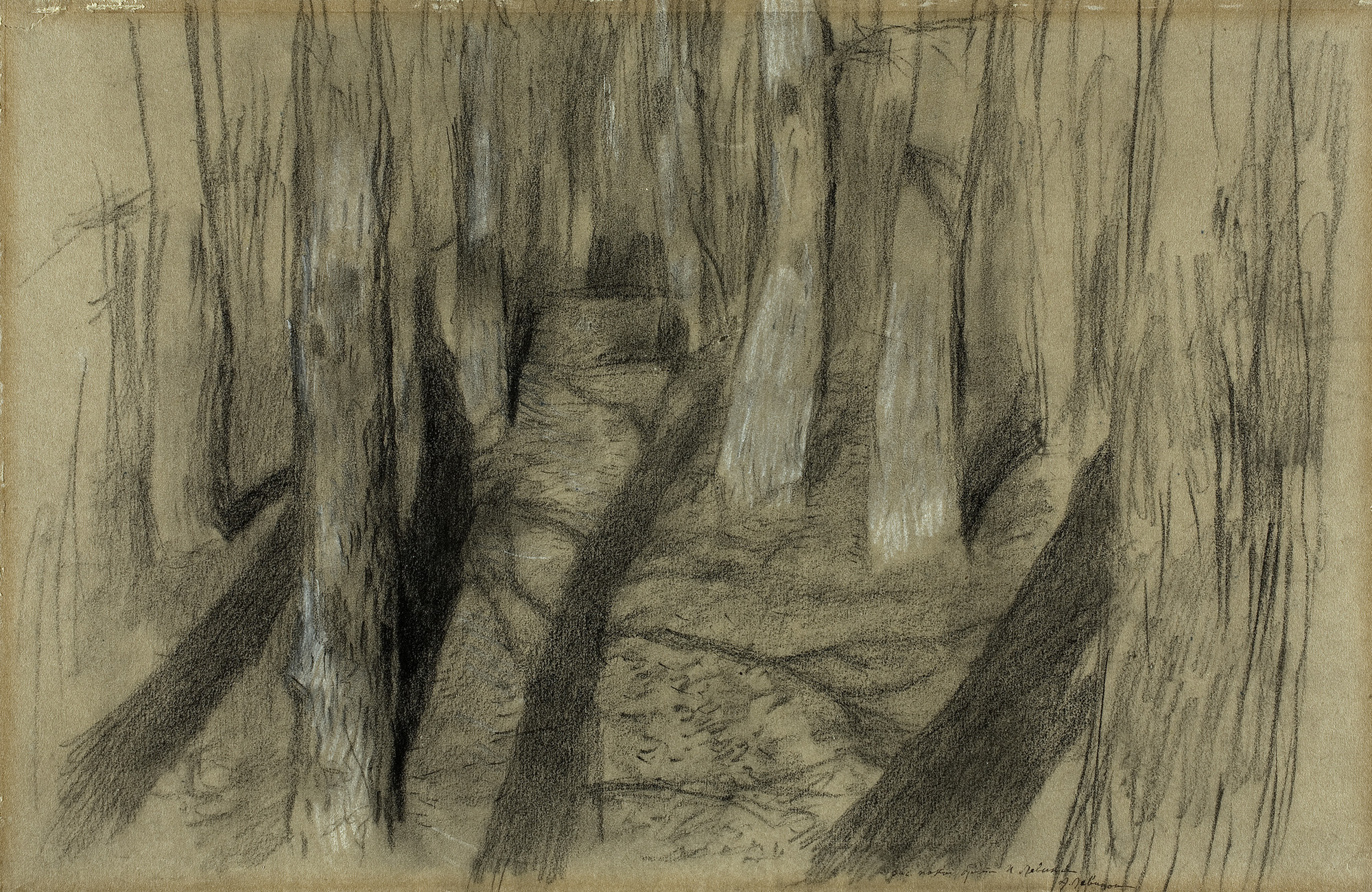 Левитан И.. Стволы деревьев. Вторая половина 1890-х