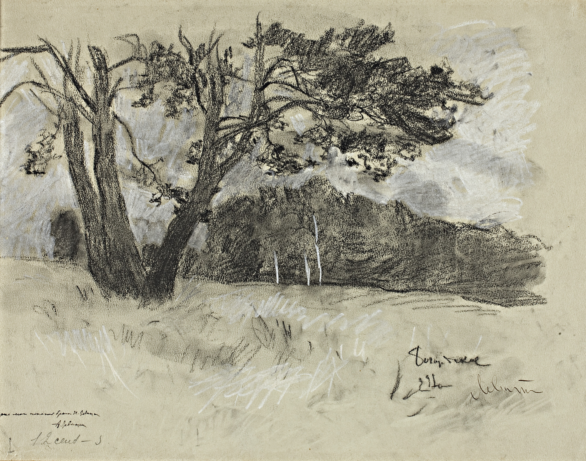 Левитан И.. Богородское. Опушка леса. 1898