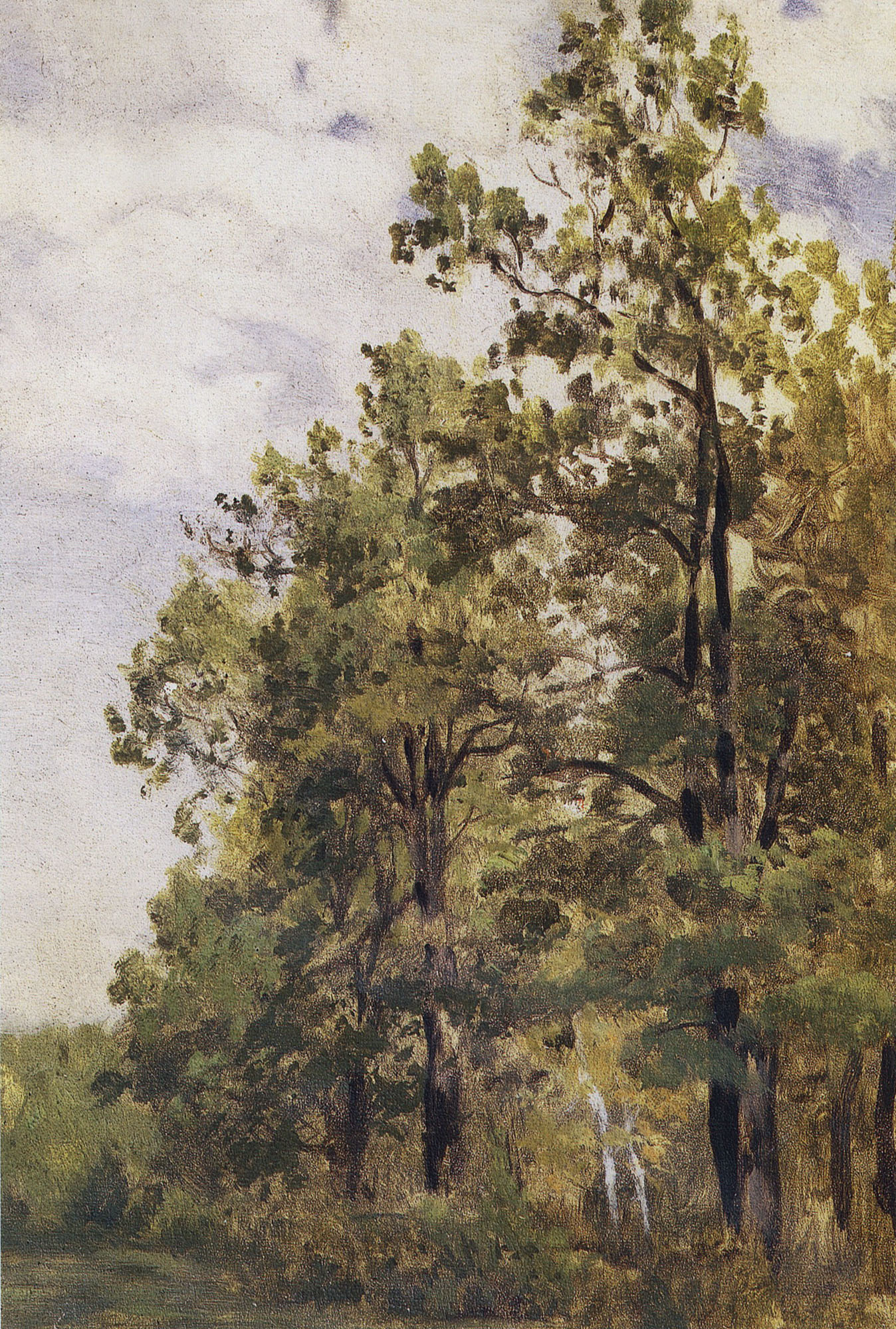 Левитан И.. Опушка леса. Первая половина 1880-х