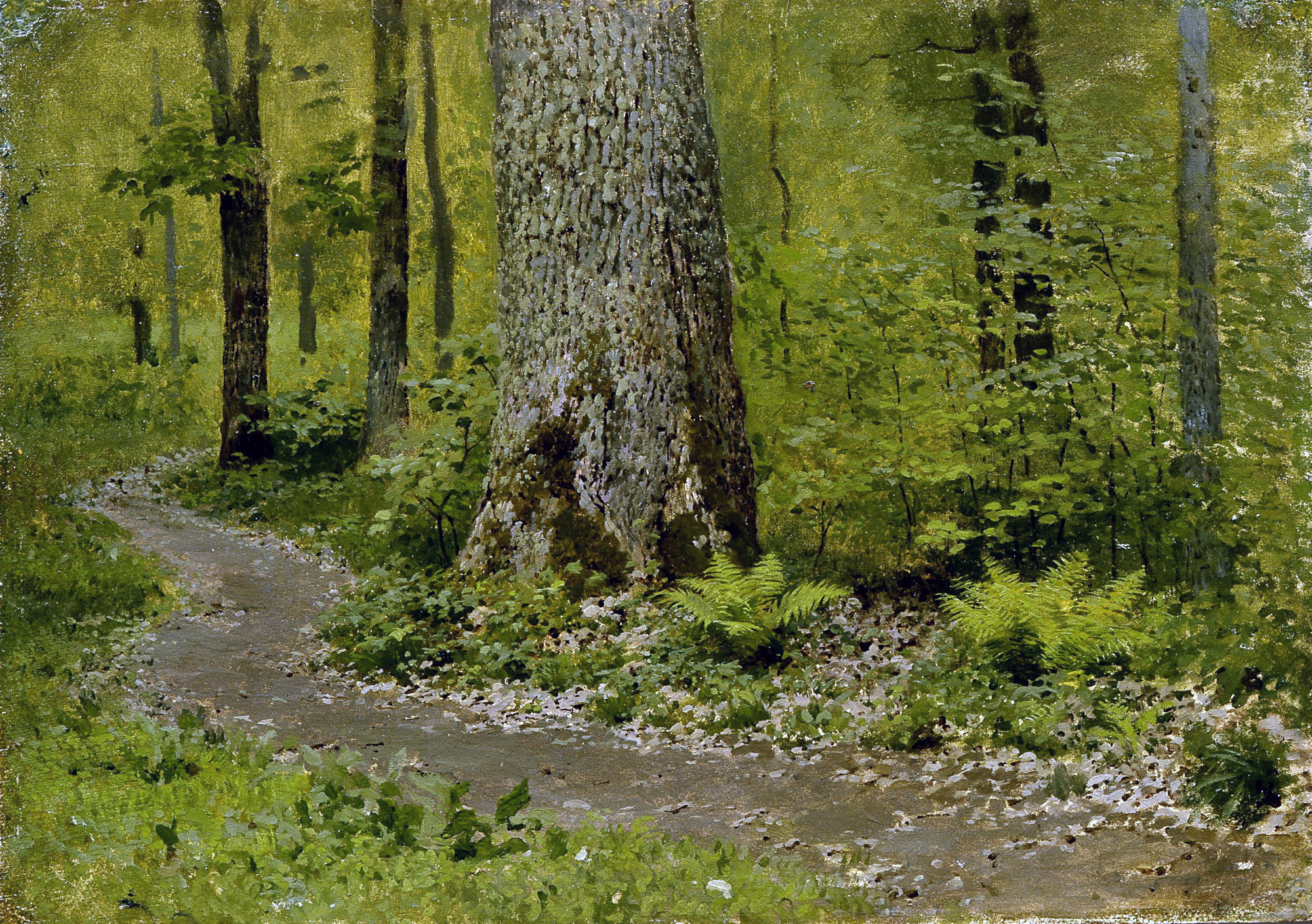 Левитан И.. Тропинка в лиственном лесу. Папоротники. Около 1895