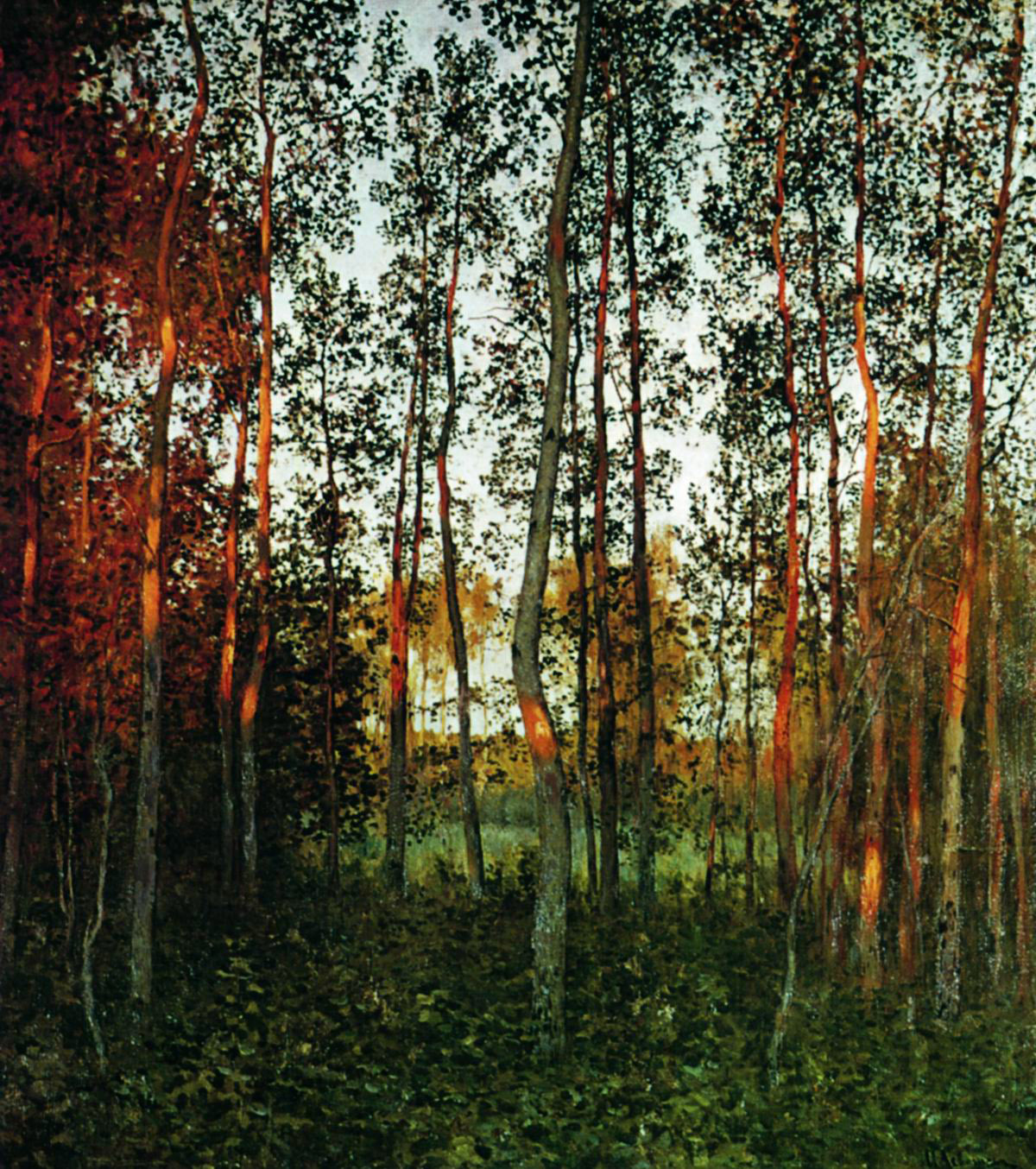 Левитан И.. Последние лучи солнца. Осиновый лес. 1897