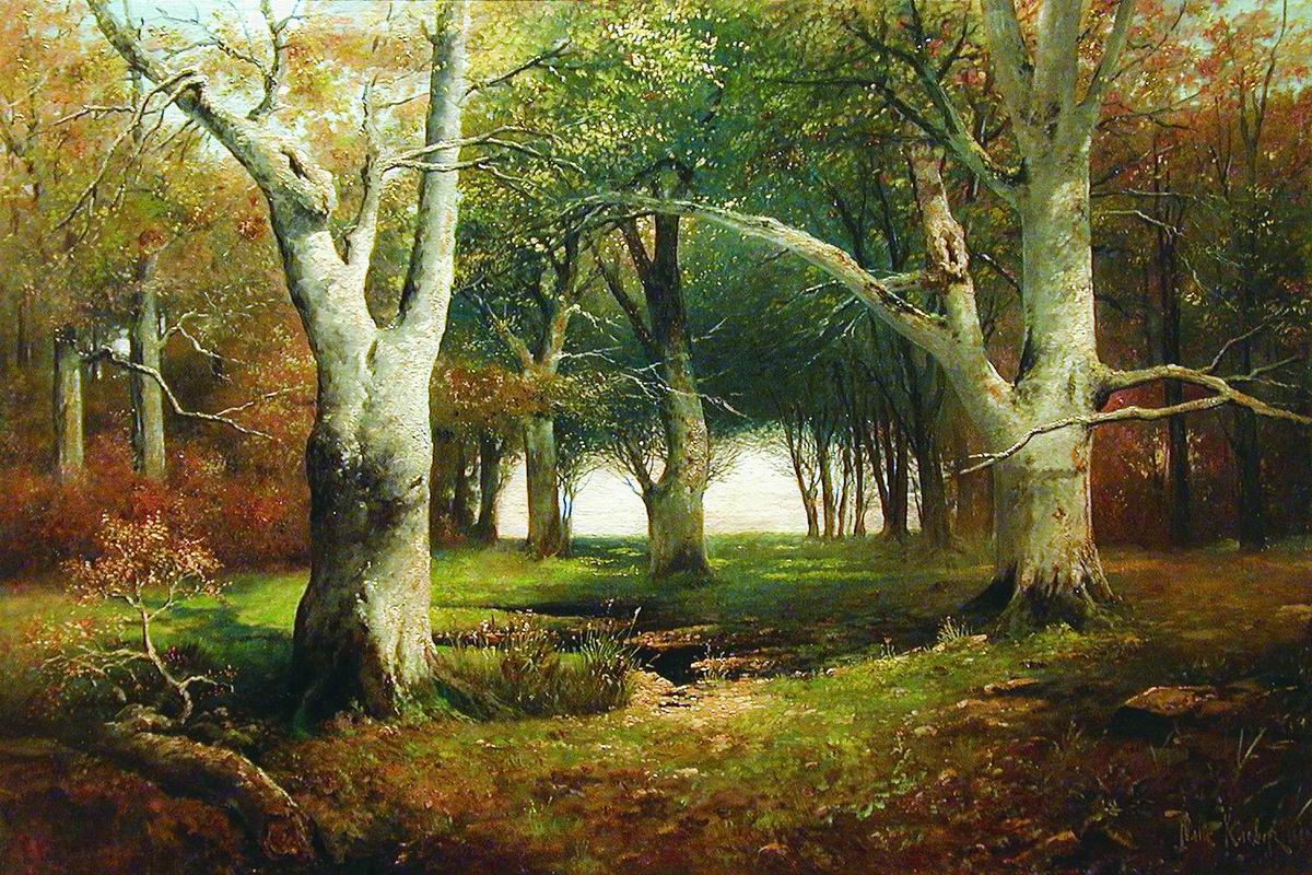 Клевер. Старые деревья в лесу. 1880