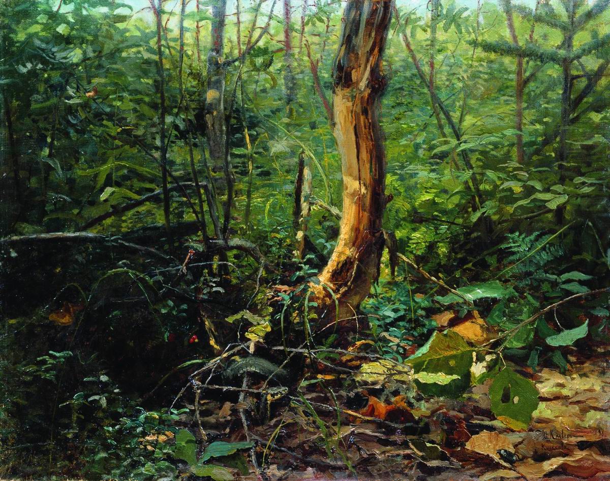 Клевер. Куоккала. 1898