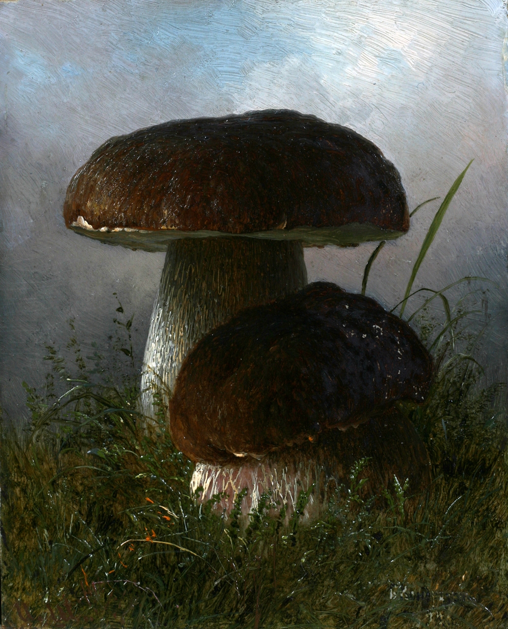 Кондратенко. Белые грибы