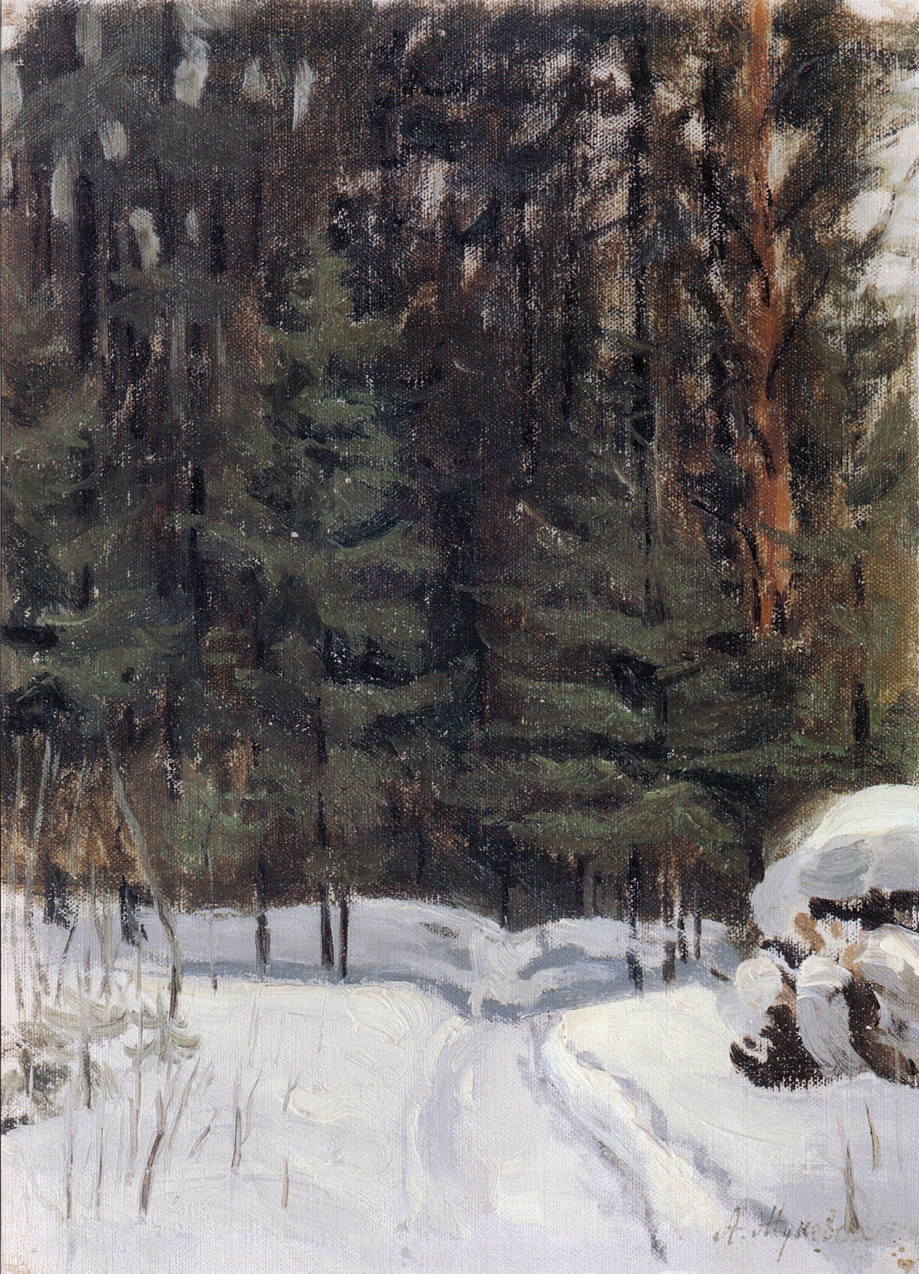 Жуковская. Зимняя дорога в сосновом лесу. Начало XX века