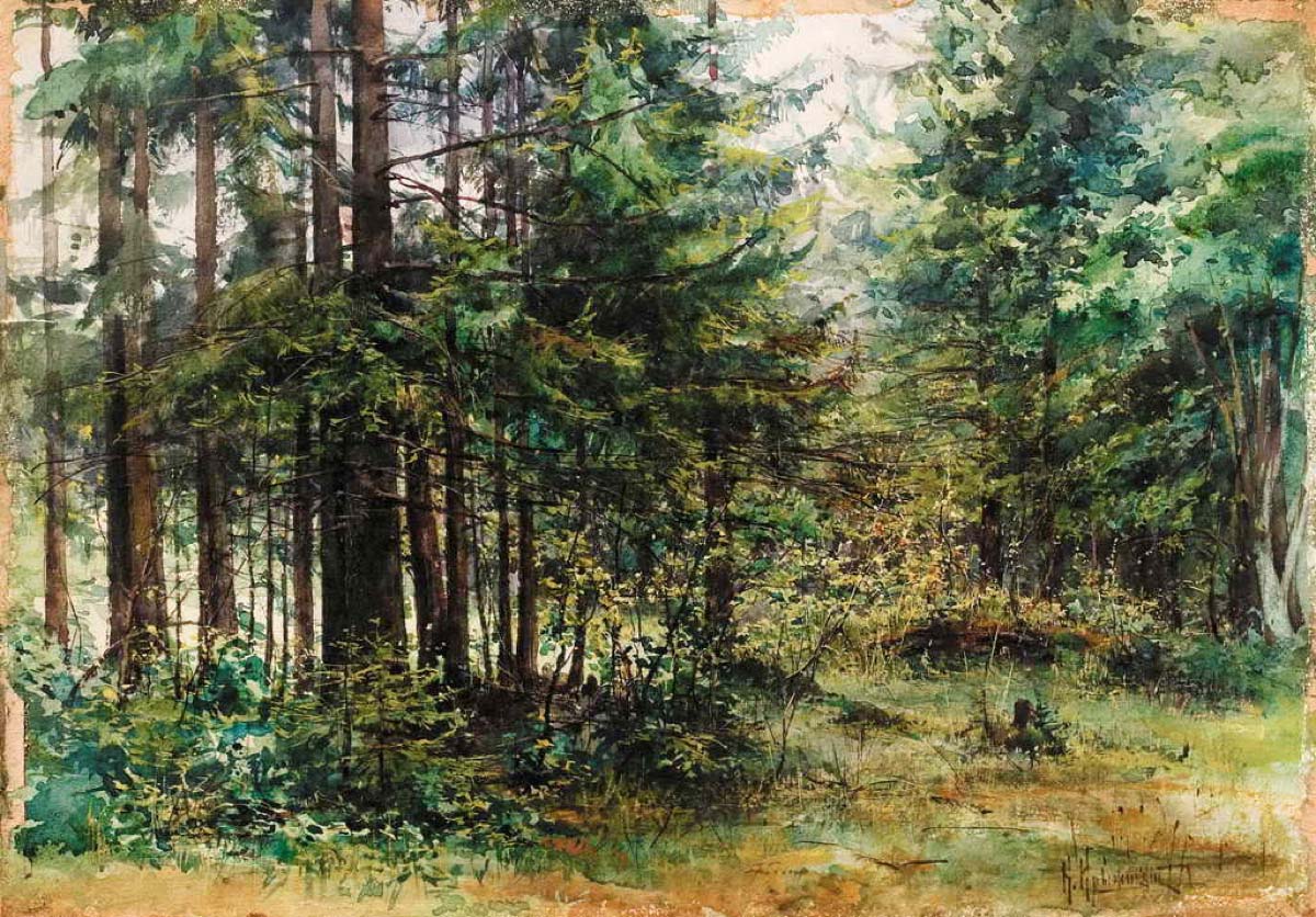 Крыжицкий. Лес . 1900-е