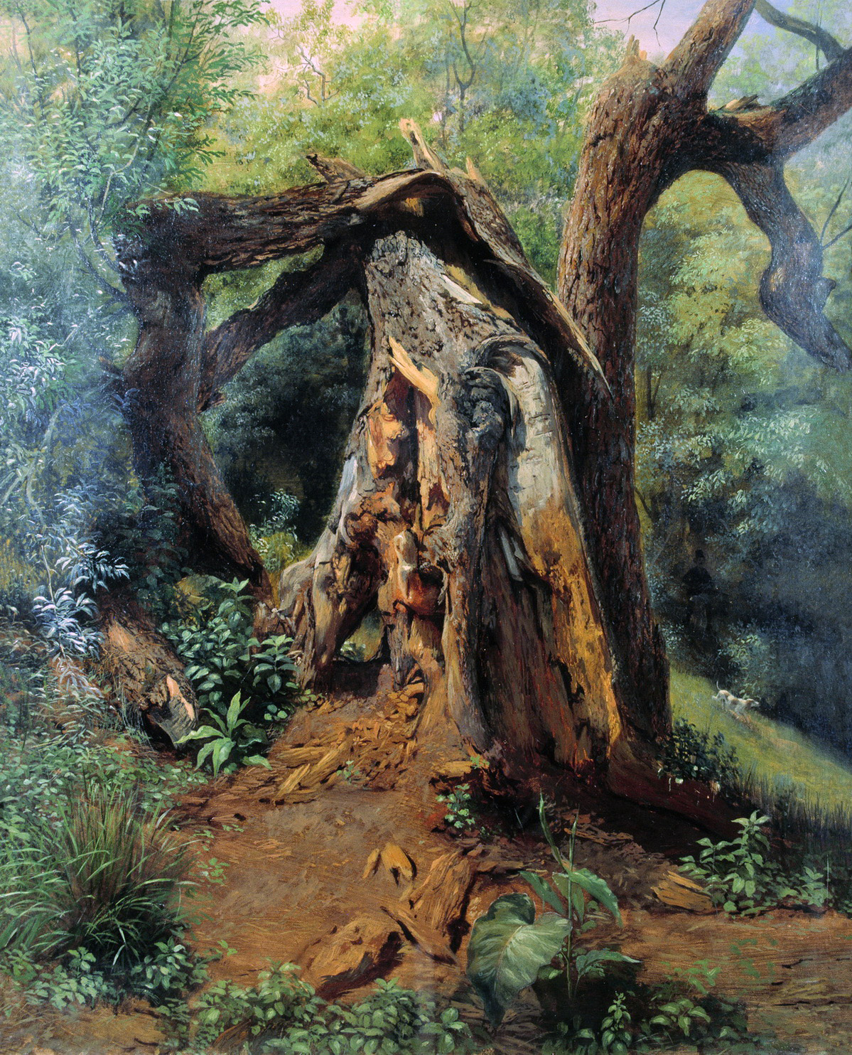 Лагорио. Старое дерево. 1859 (?)