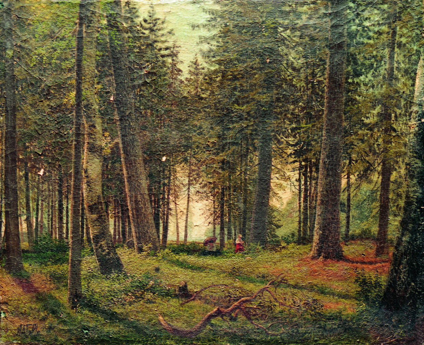 Лагорио. В еловом лесу. 1870-е