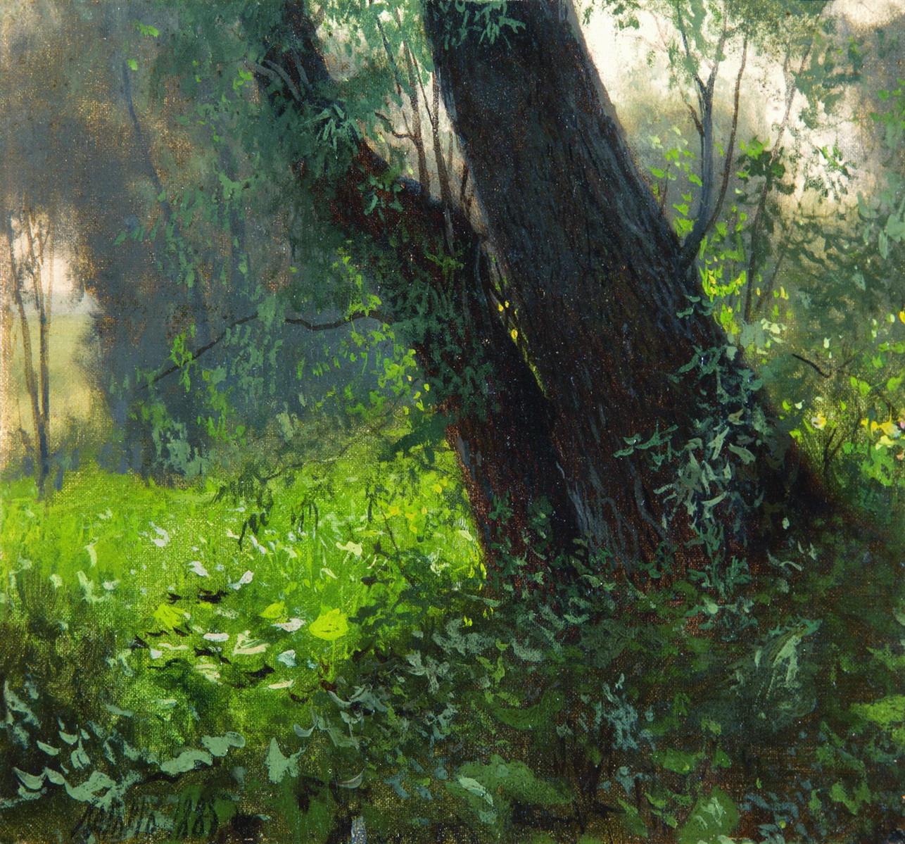 Лагорио. Деревья. 1885