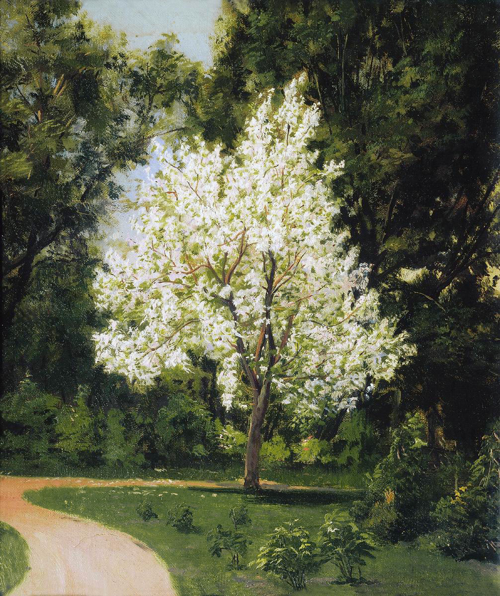 Максимов В.. Сад при доме Третьяковых. 1877