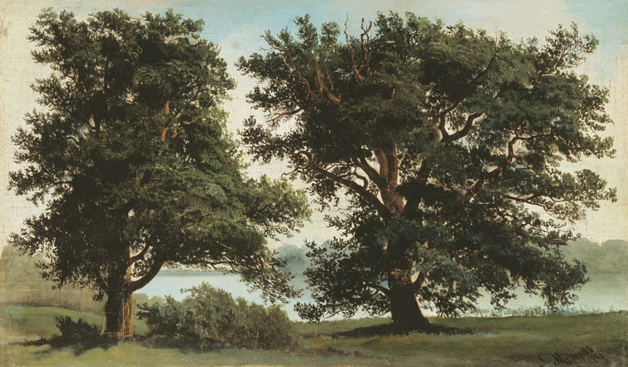 Морозов А.. Пейзаж с деревьями. 1893