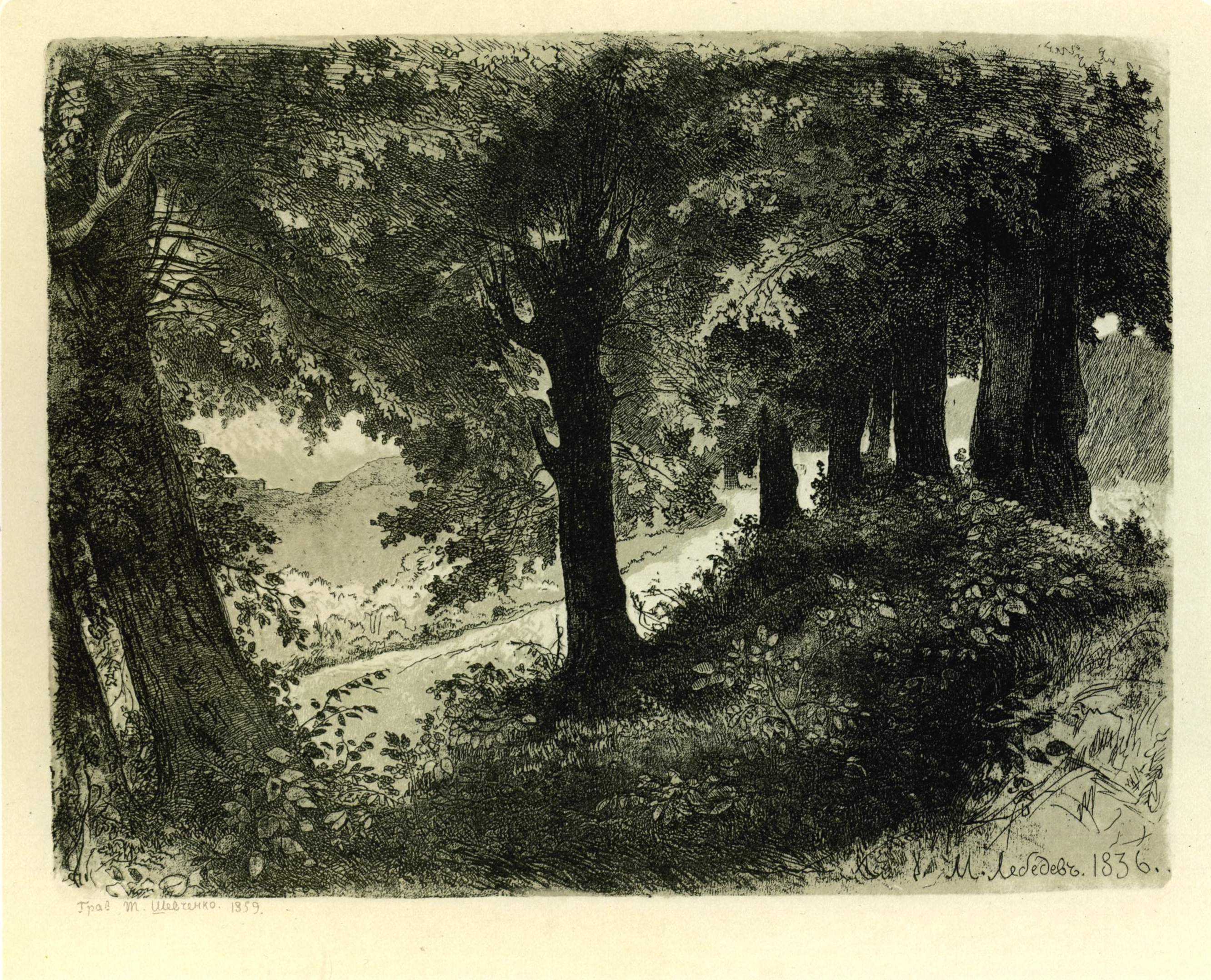 Шевченко Т.. Лес (Вечер в Альбано, вблизи Рима). 1859