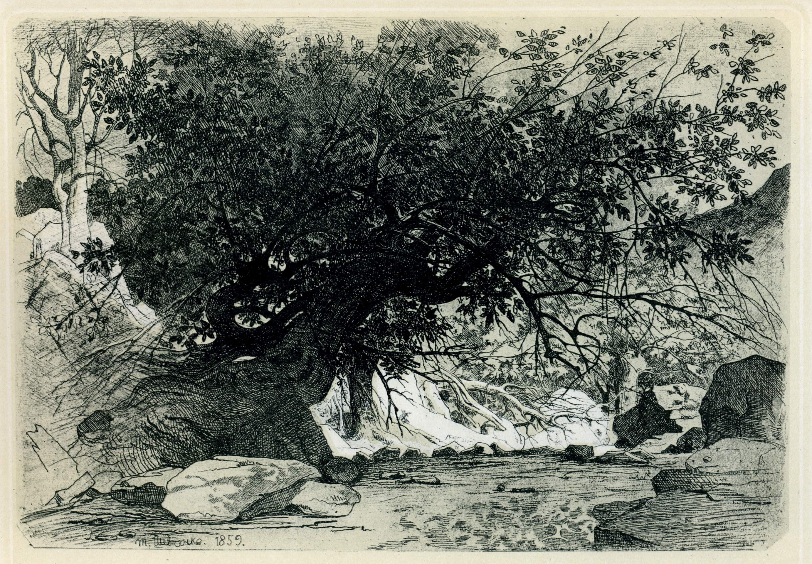Шевченко Т.. Мангышлакский сад. 1859