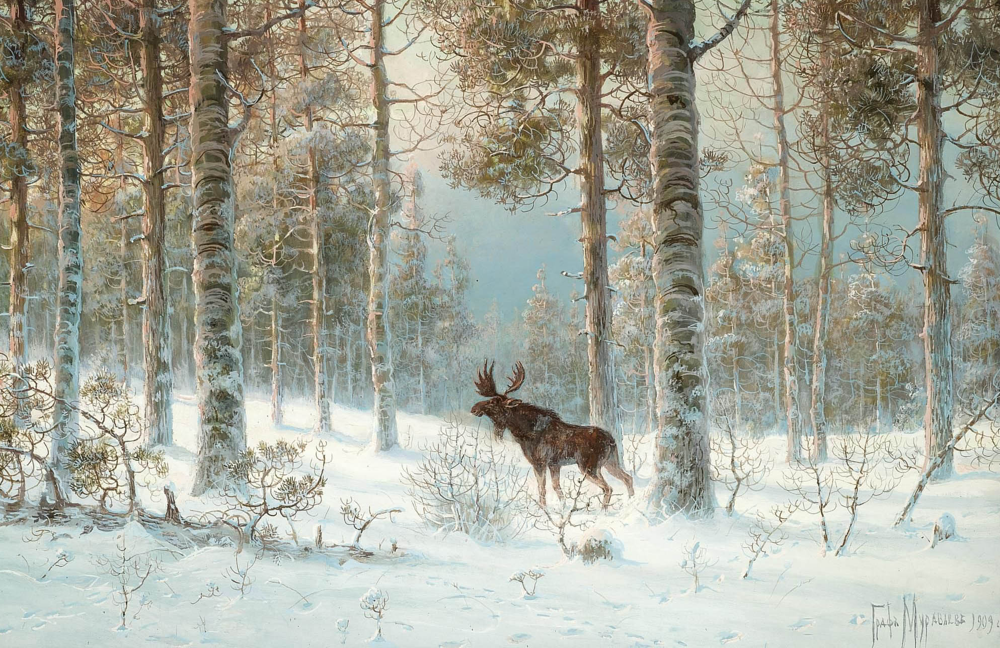 Муравьев В.. Лось в снегу. 1909