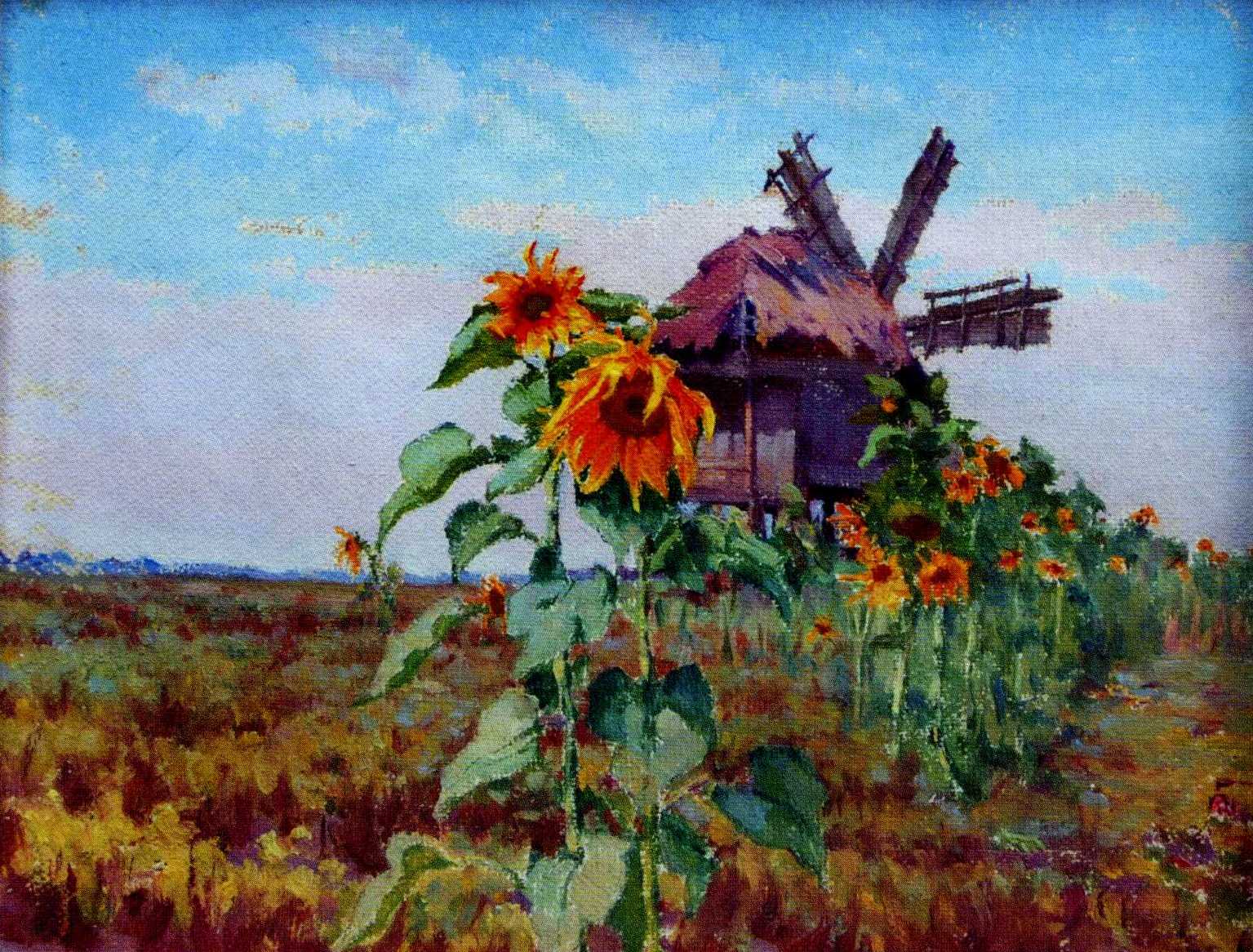 Онацкий. Подсолнухи  