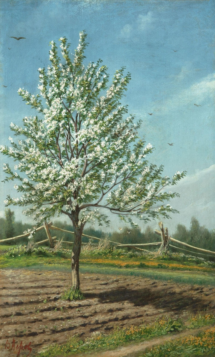 Перов. Яблоня в цвету. 1874