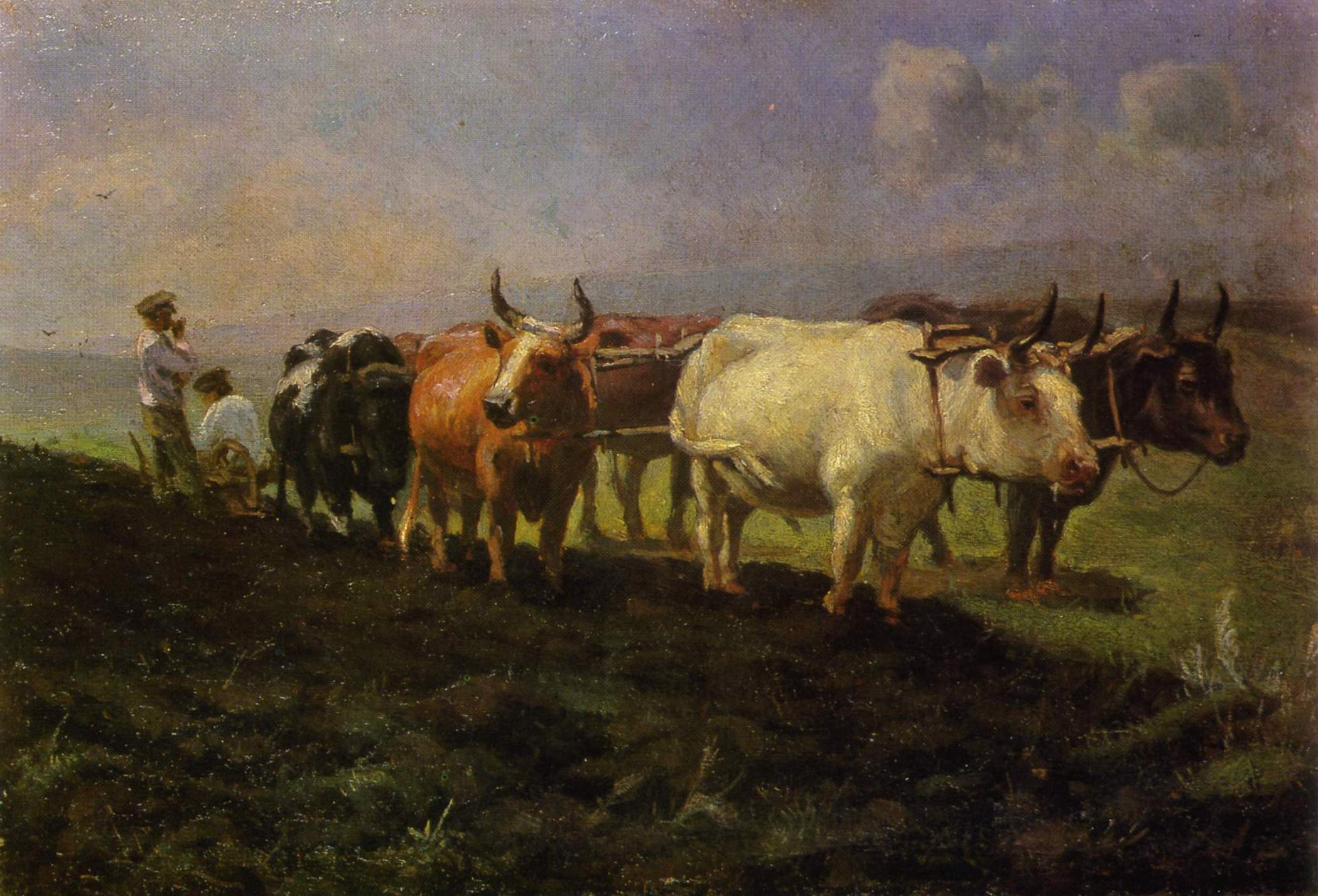Окушко. Пахота. 1896