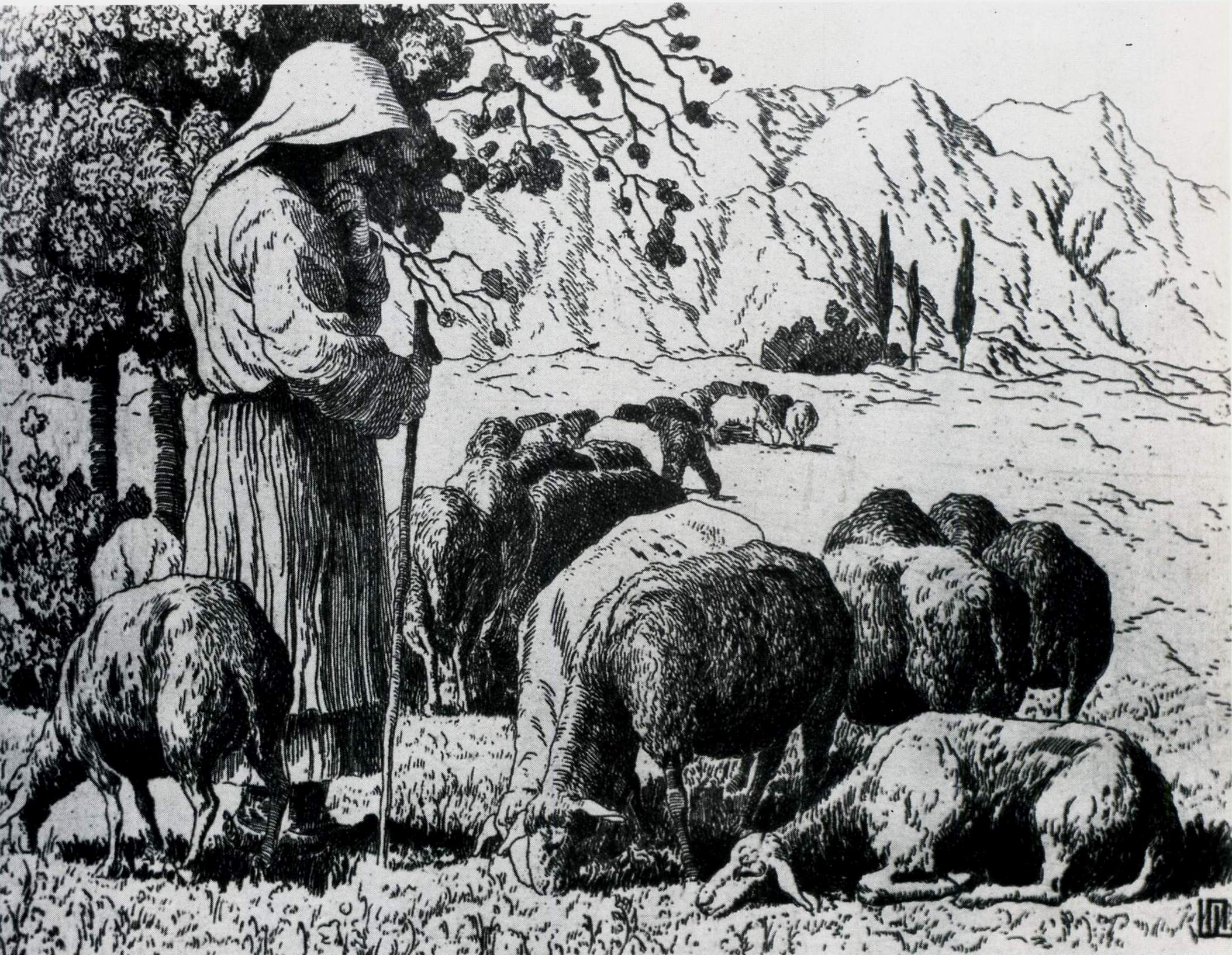 Шиллинговский. Бессарабия. Овцы. 1912