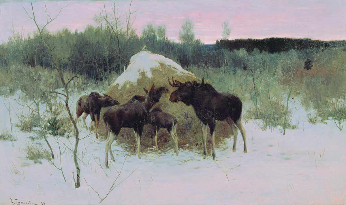 Степанов А.С.. Лоси. 1889