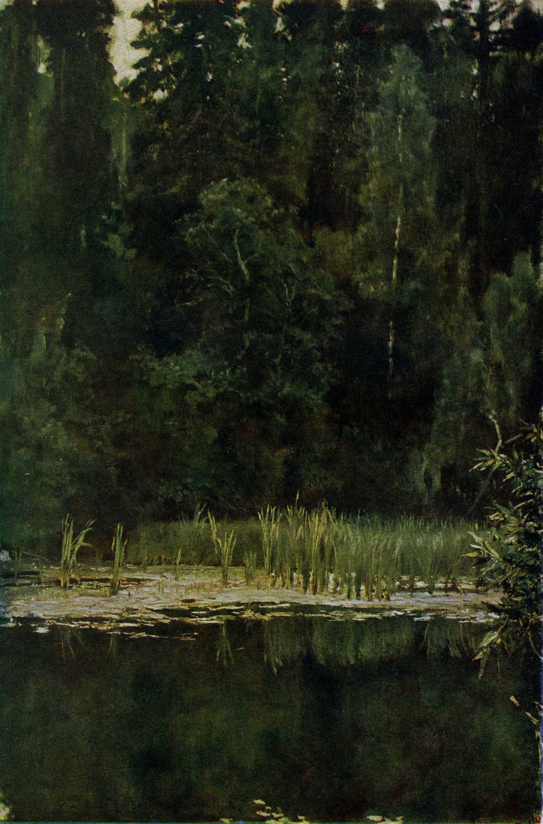 Васнецов В.. Аленушкин пруд ( Пруд в Ахтырке ). 1880