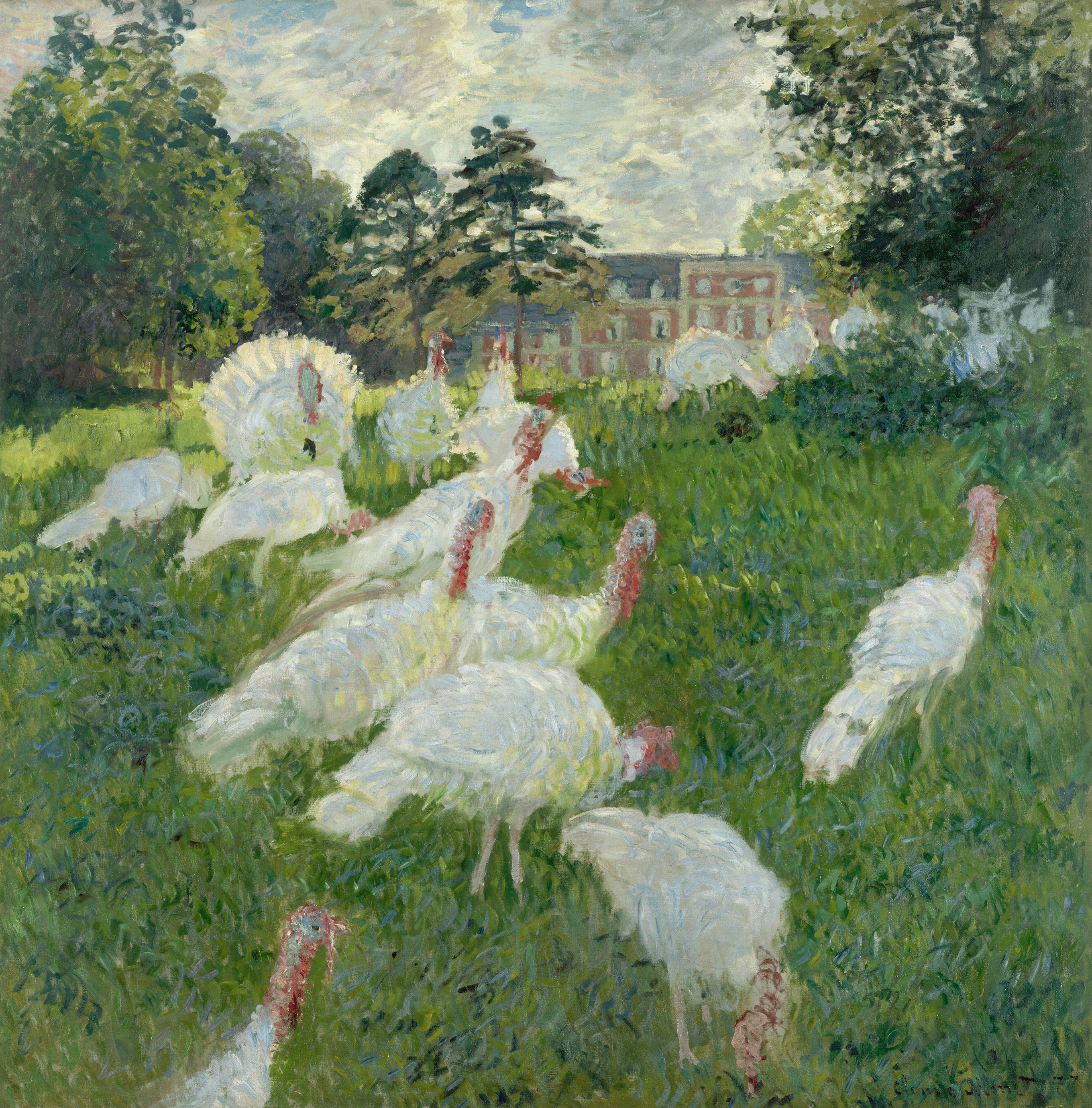 Моне Клод. Белые индюки. 1876