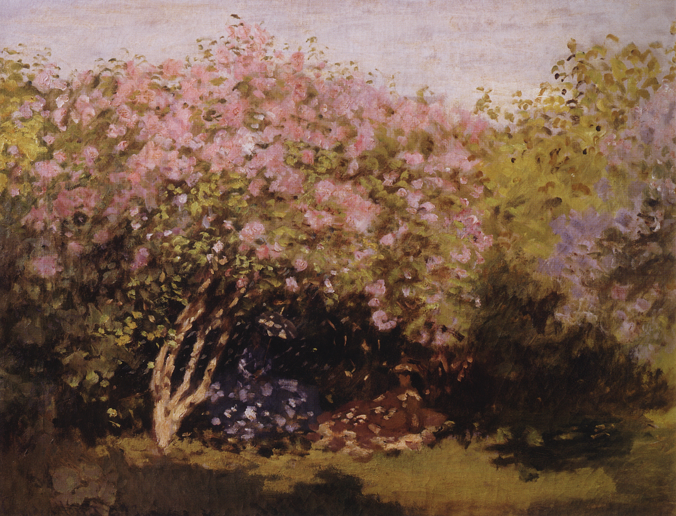 Моне Клод. Сирень на солнце. 1873