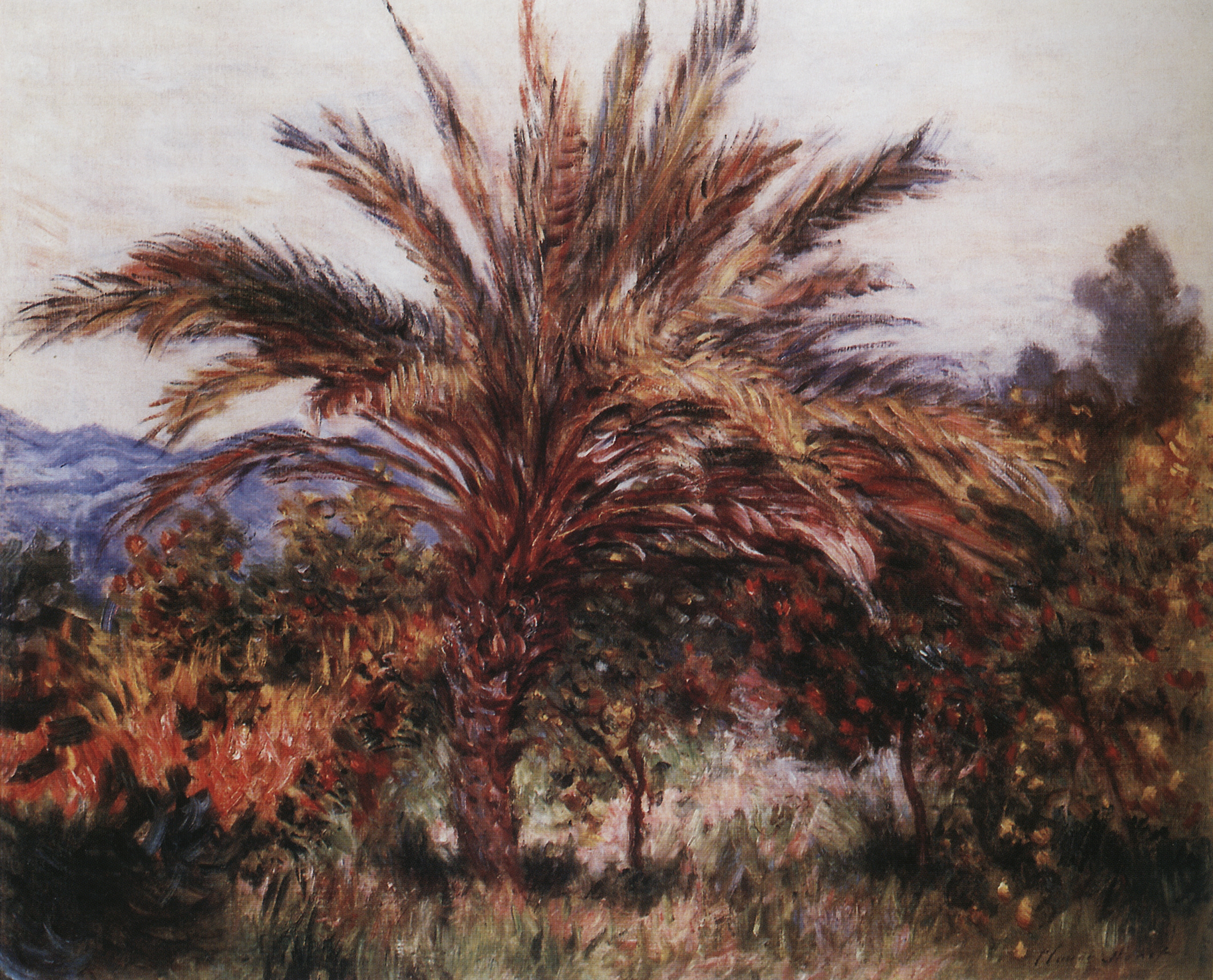 Моне Клод. Пальма в Бордигере. 1884