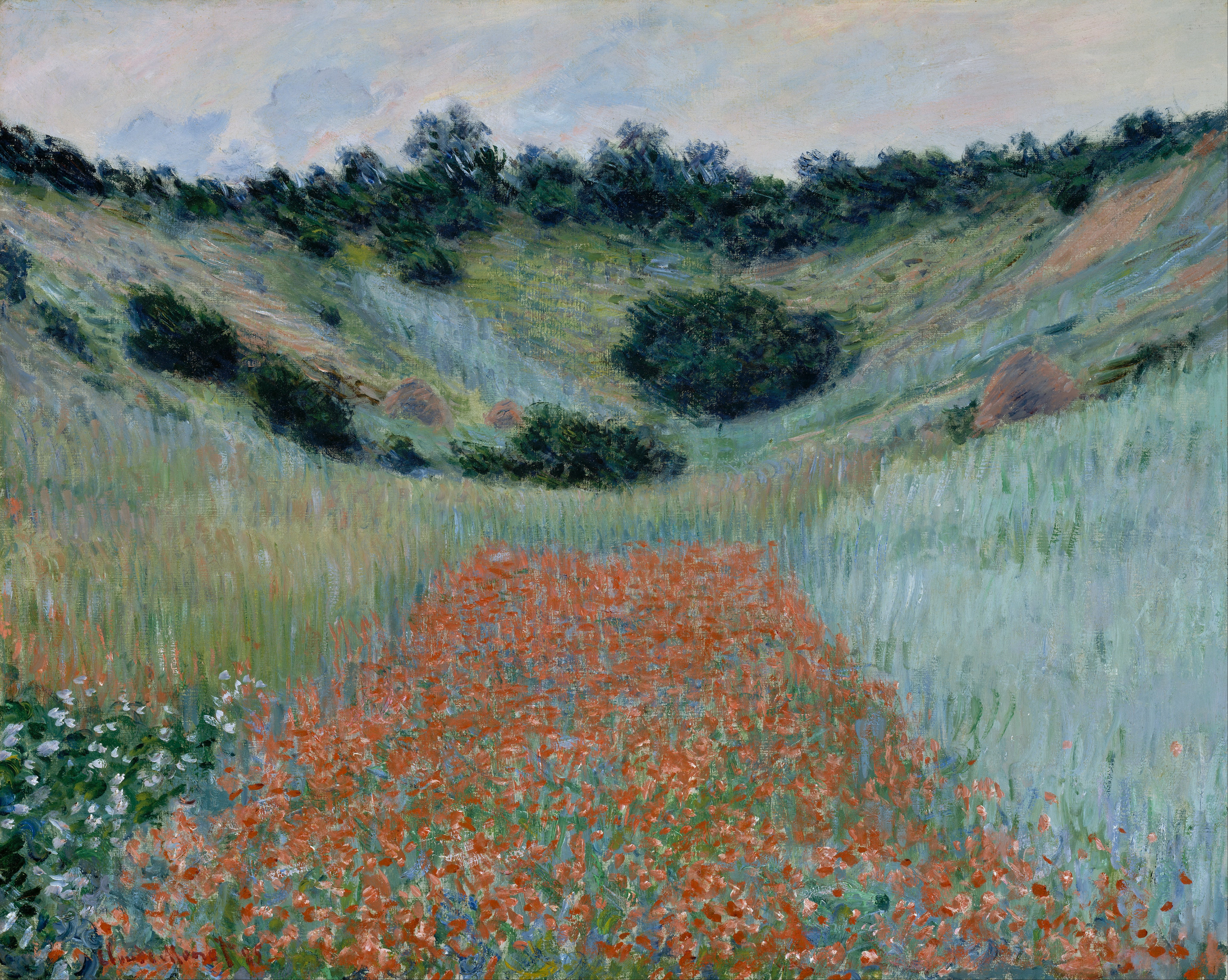 Моне Клод. Поле маков в Живерни. 1885