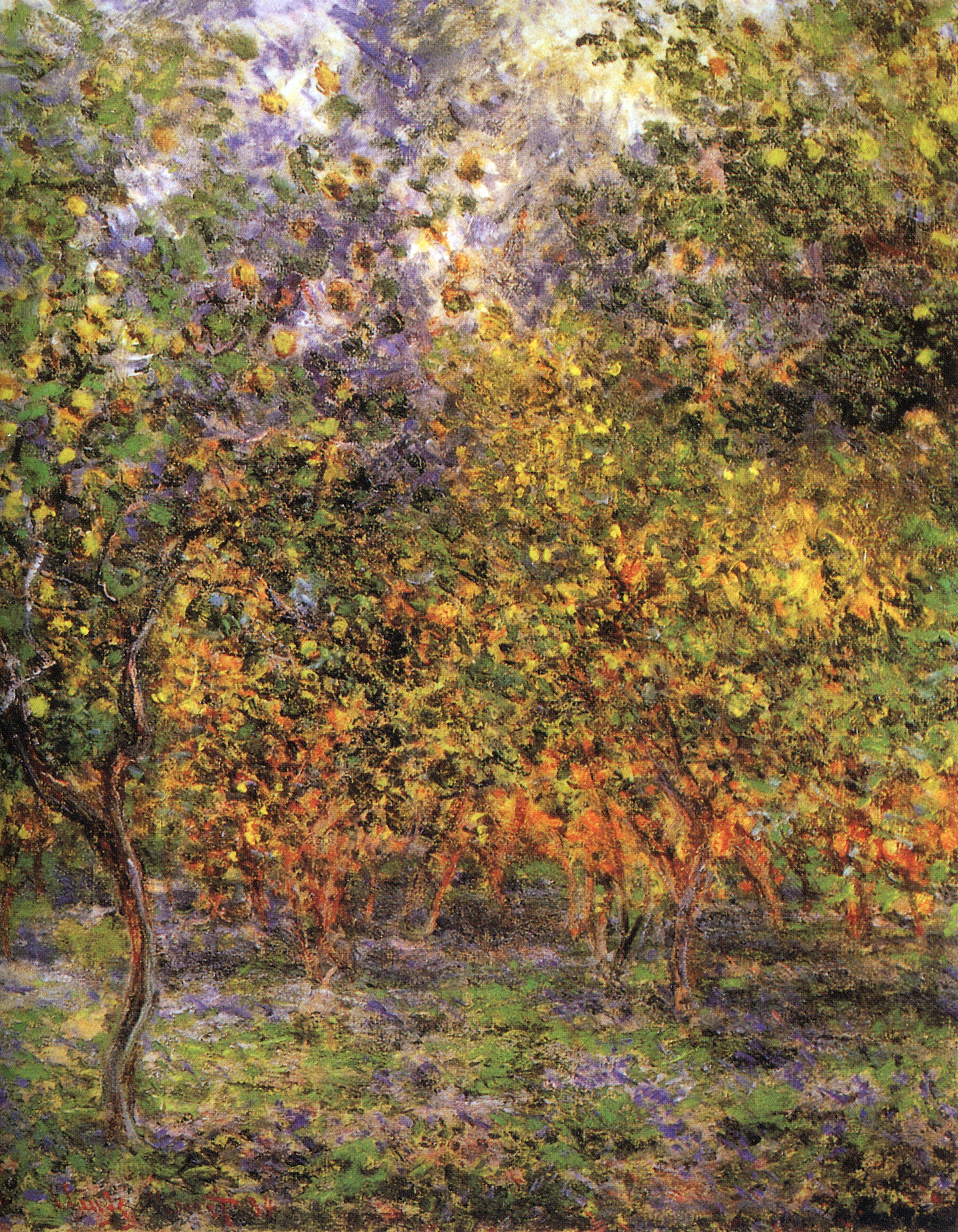 Моне Клод. Лимоны  в Бордигере. 1888