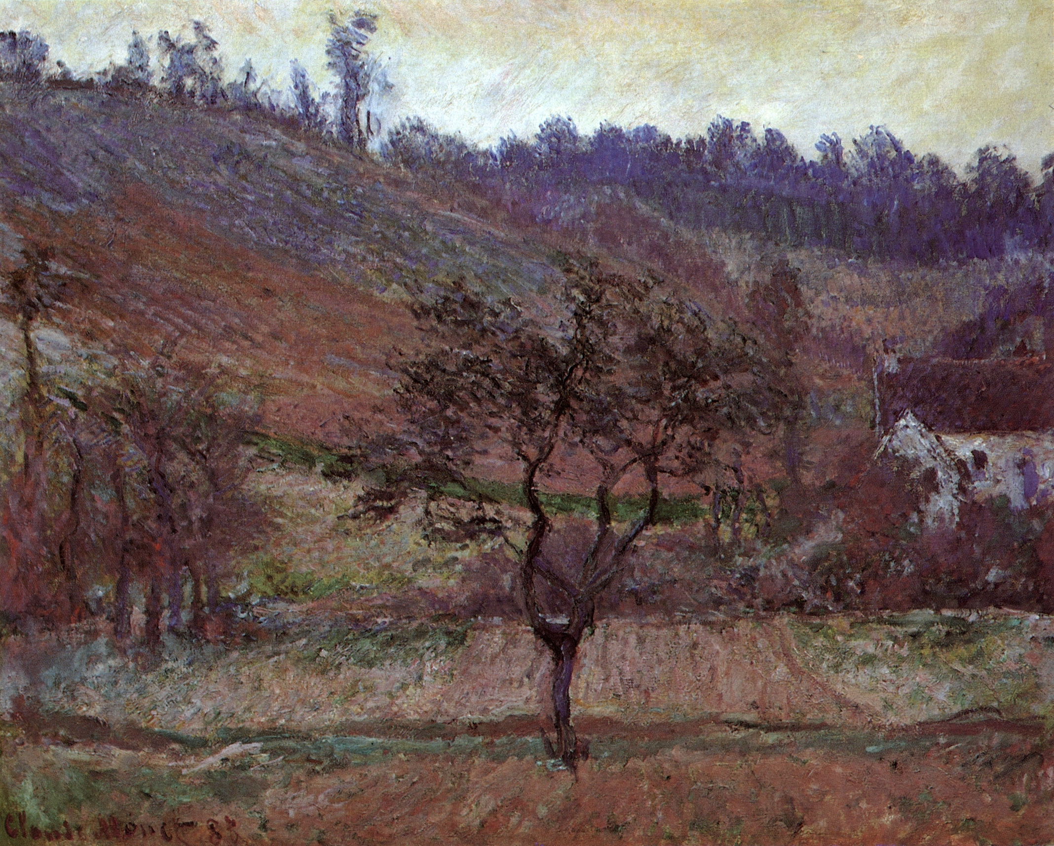 Моне Клод. Долина ла Фалез. 1885