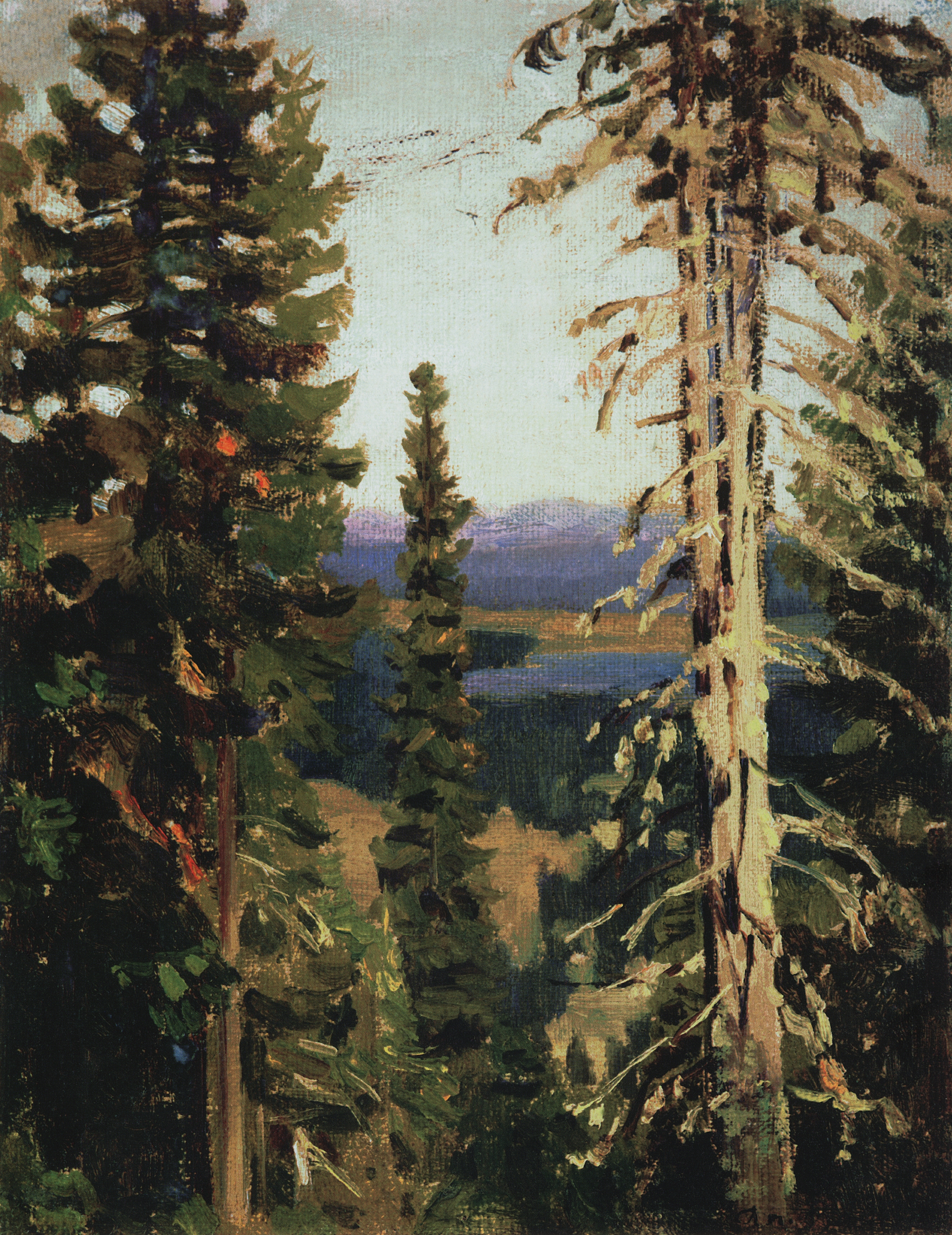 Васнецов А.. Лес на горе Благодать. Средний Урал. 1890-е