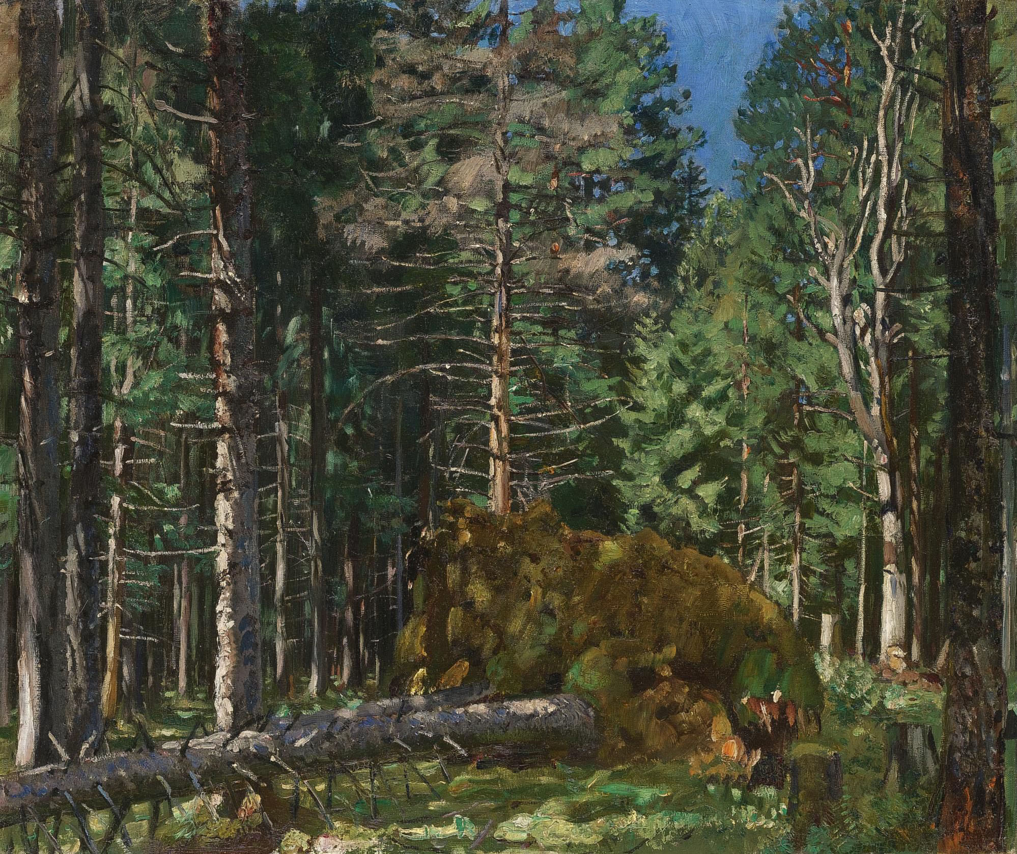 Жуковский С.. Сосновый лес. 1934