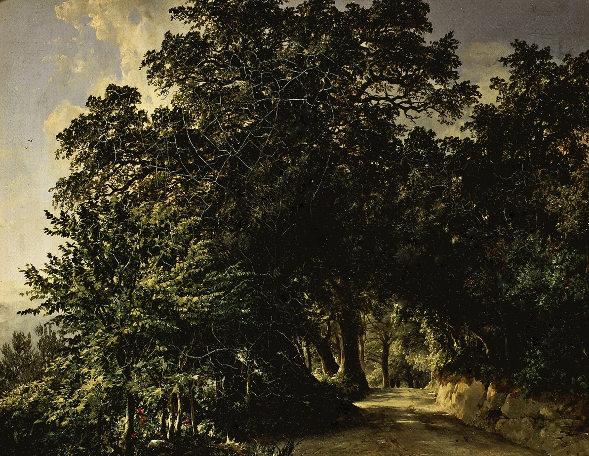 Лебедев М.. Аллея в Альбано близ Рима. 1836