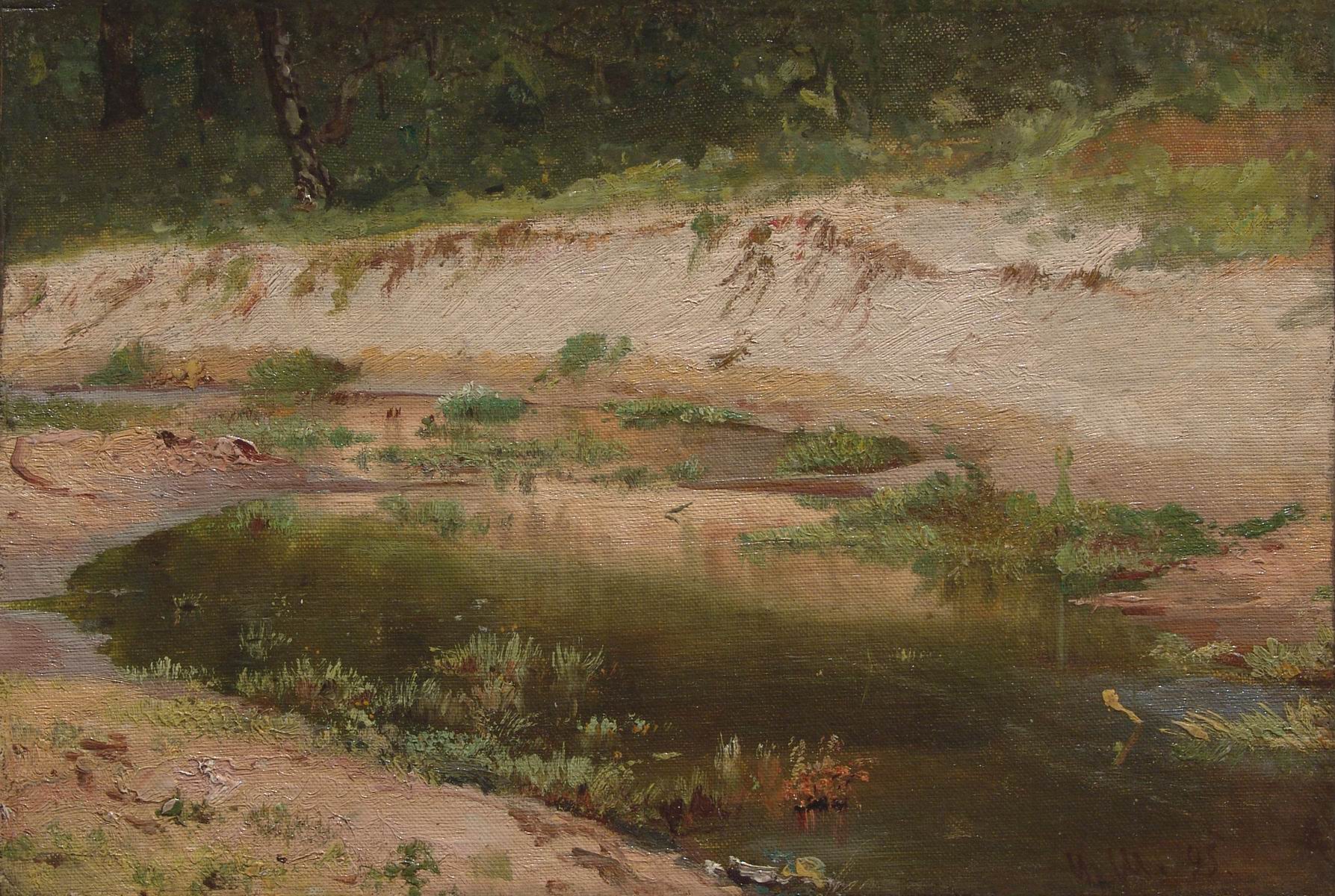 Шишкин. Лесной ручей. 1895