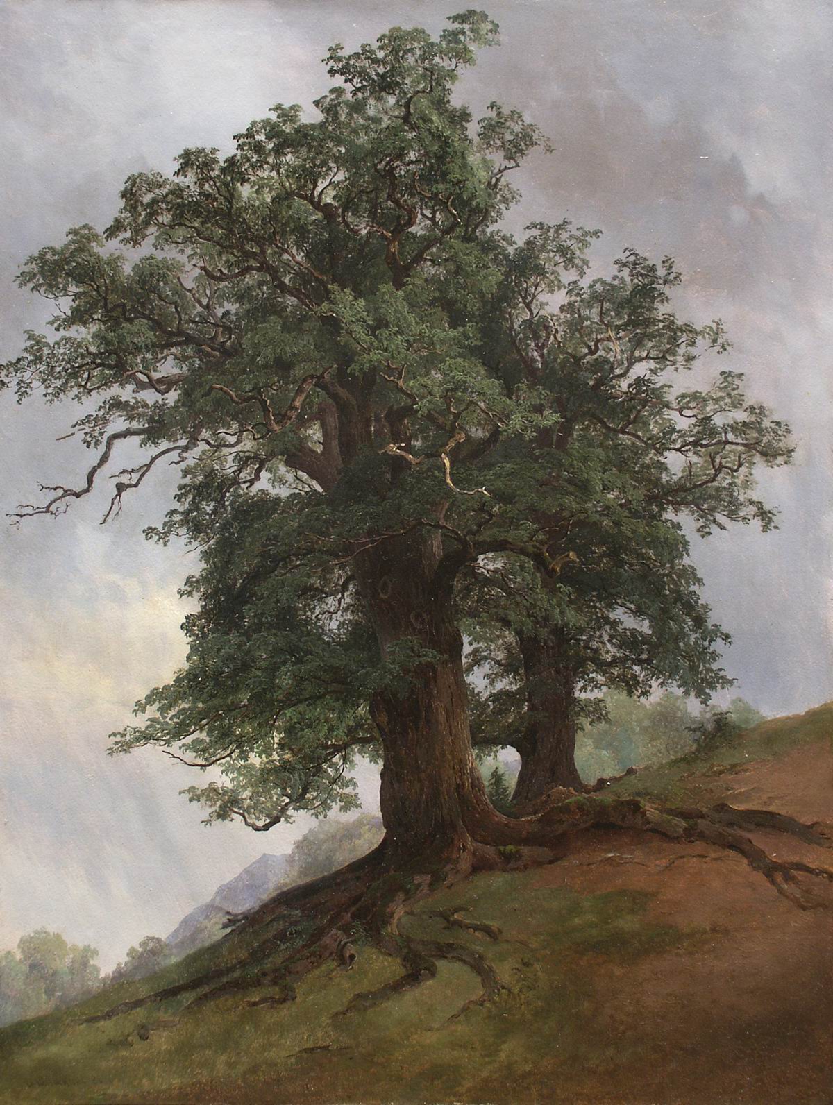 Шишкин. Старый дуб. 1866
