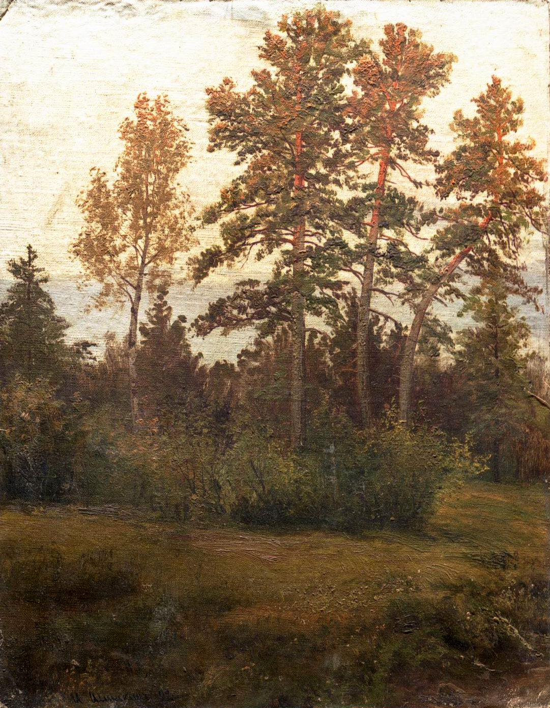 Шишкин. Опушка леса. 1892