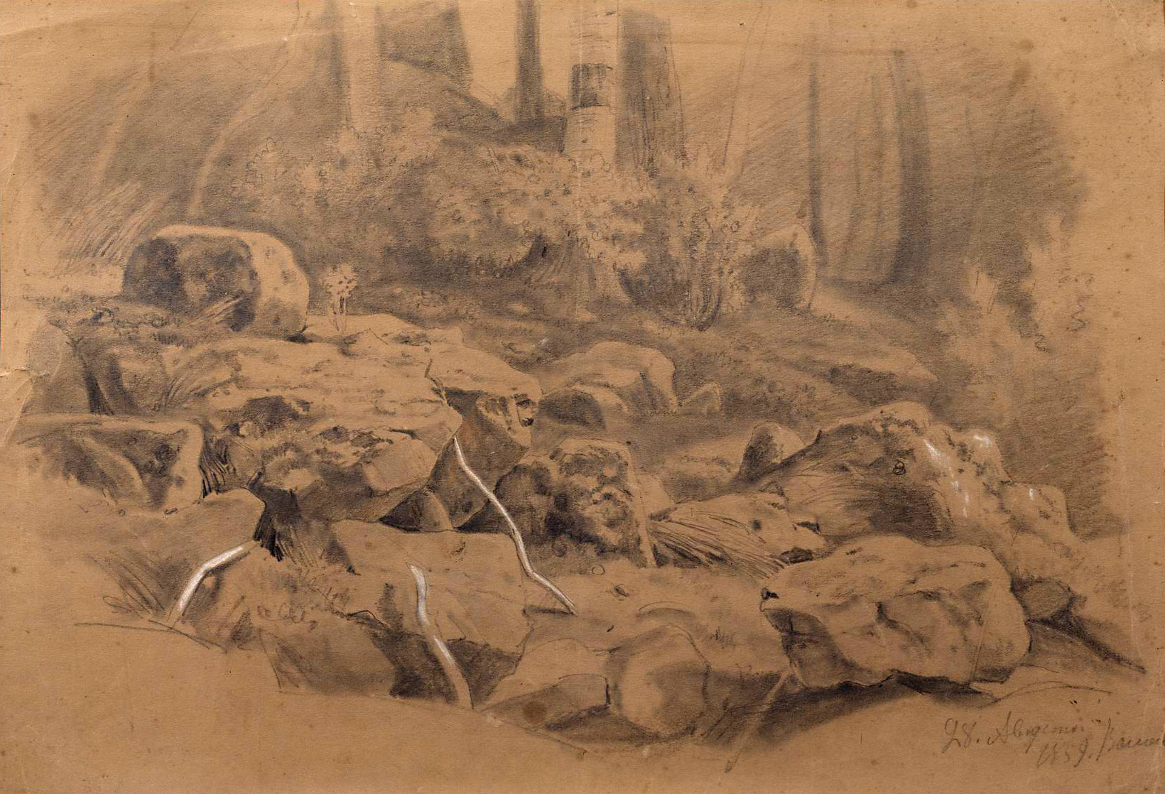 Шишкин. Камни. 1859