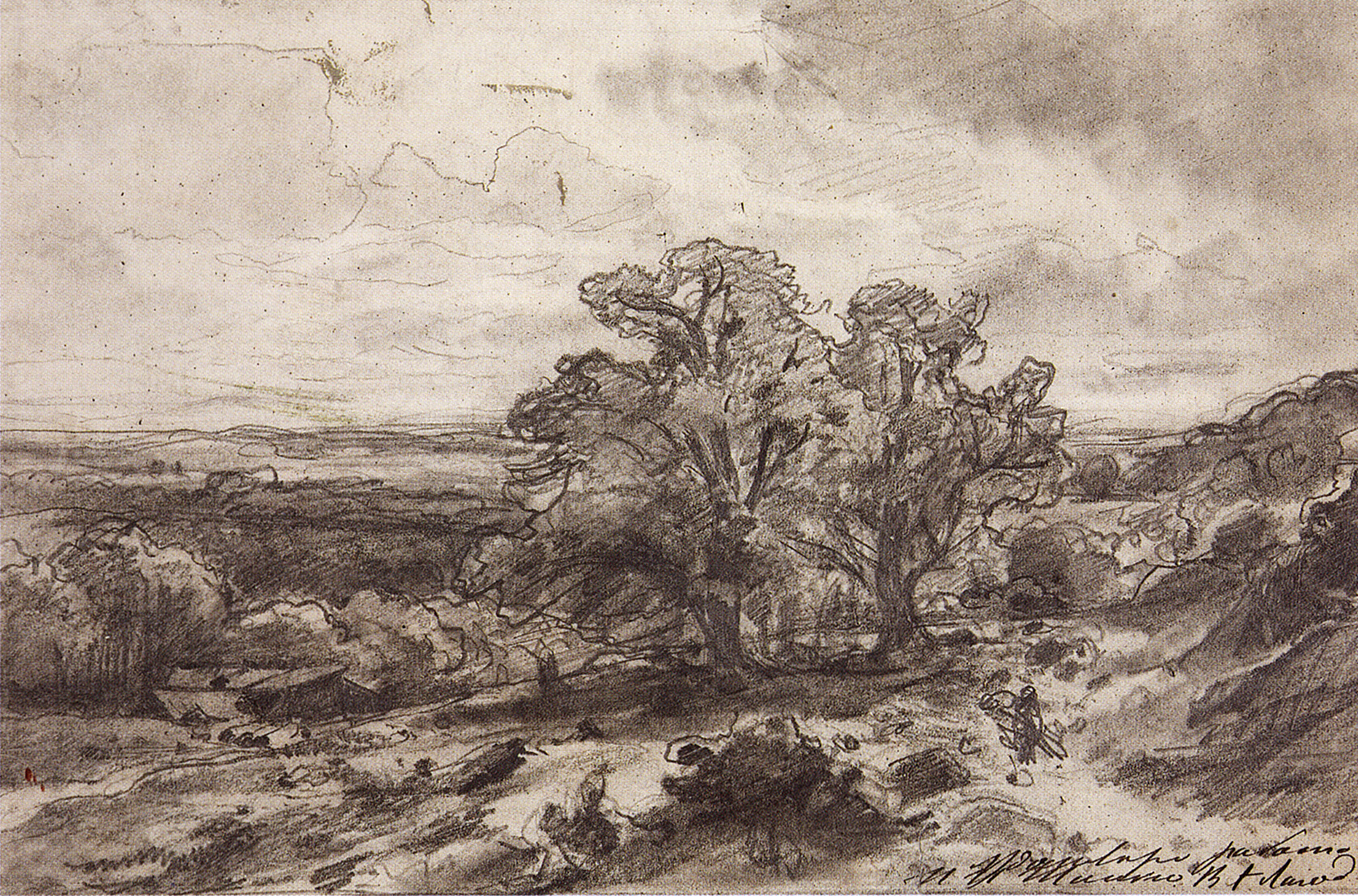 Шишкин. Пейзаж с дубами. 1864