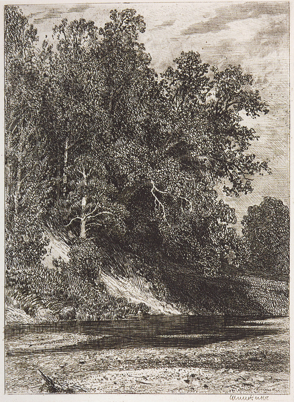 Шишкин. Лес на крутом берегу. 1877