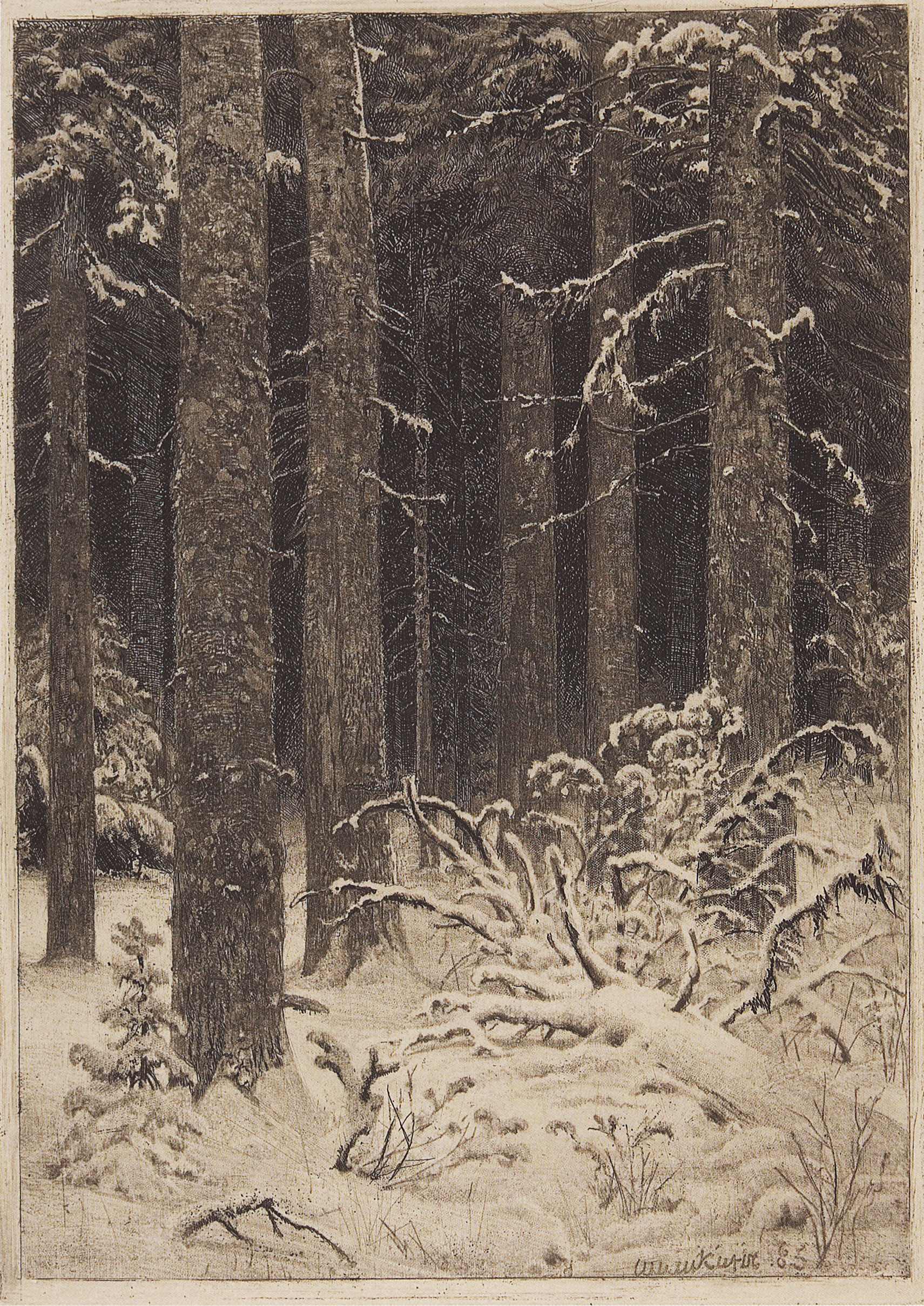 Шишкин. Дремучий лес. 1885