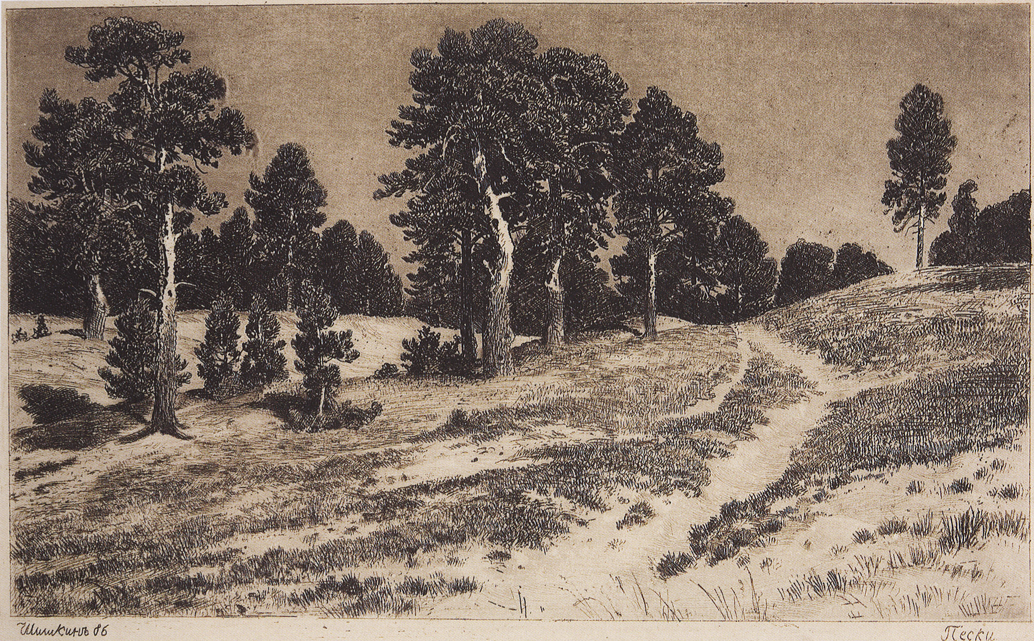 Шишкин. Пески. 1886