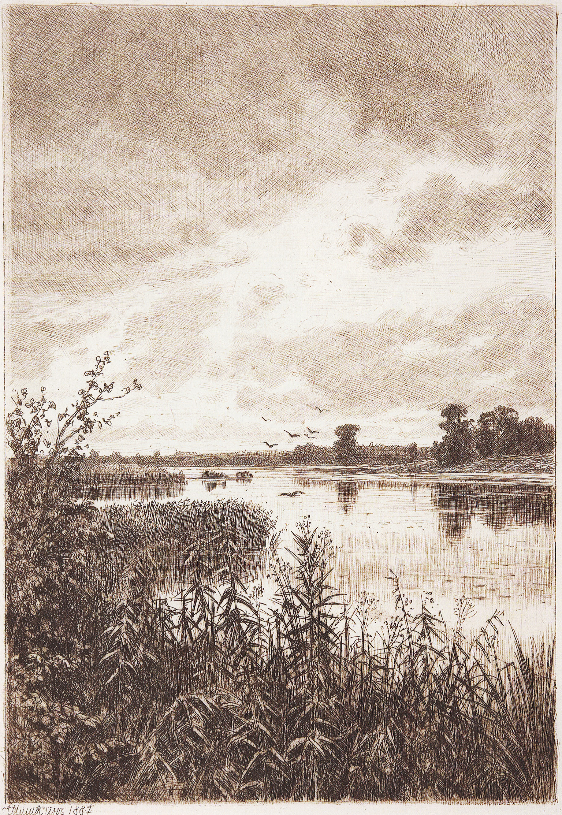Шишкин. На реке после дождя. 1887